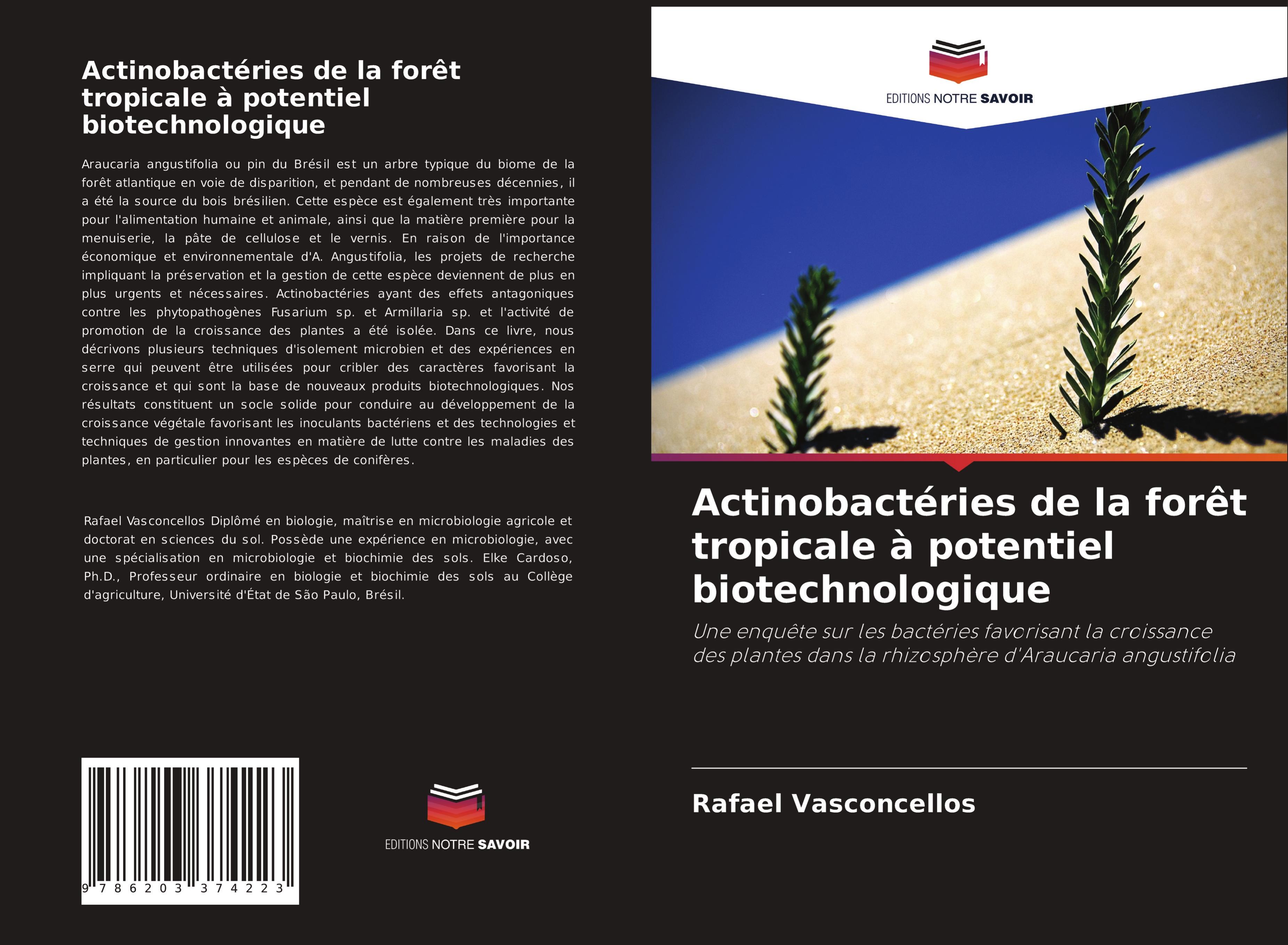 Actinobactéries de la forêt tropicale à potentiel biotechnologique