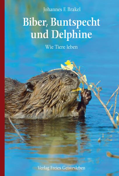 Biber, Buntspecht und Delphine