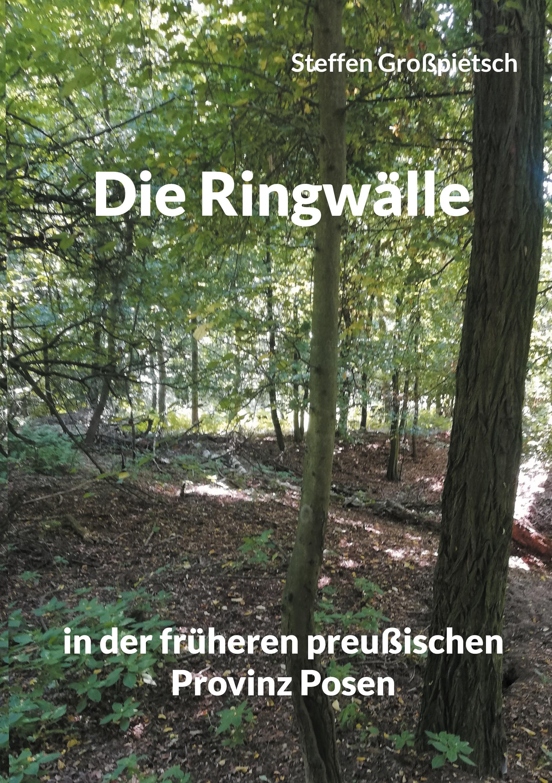 Die Ringwälle