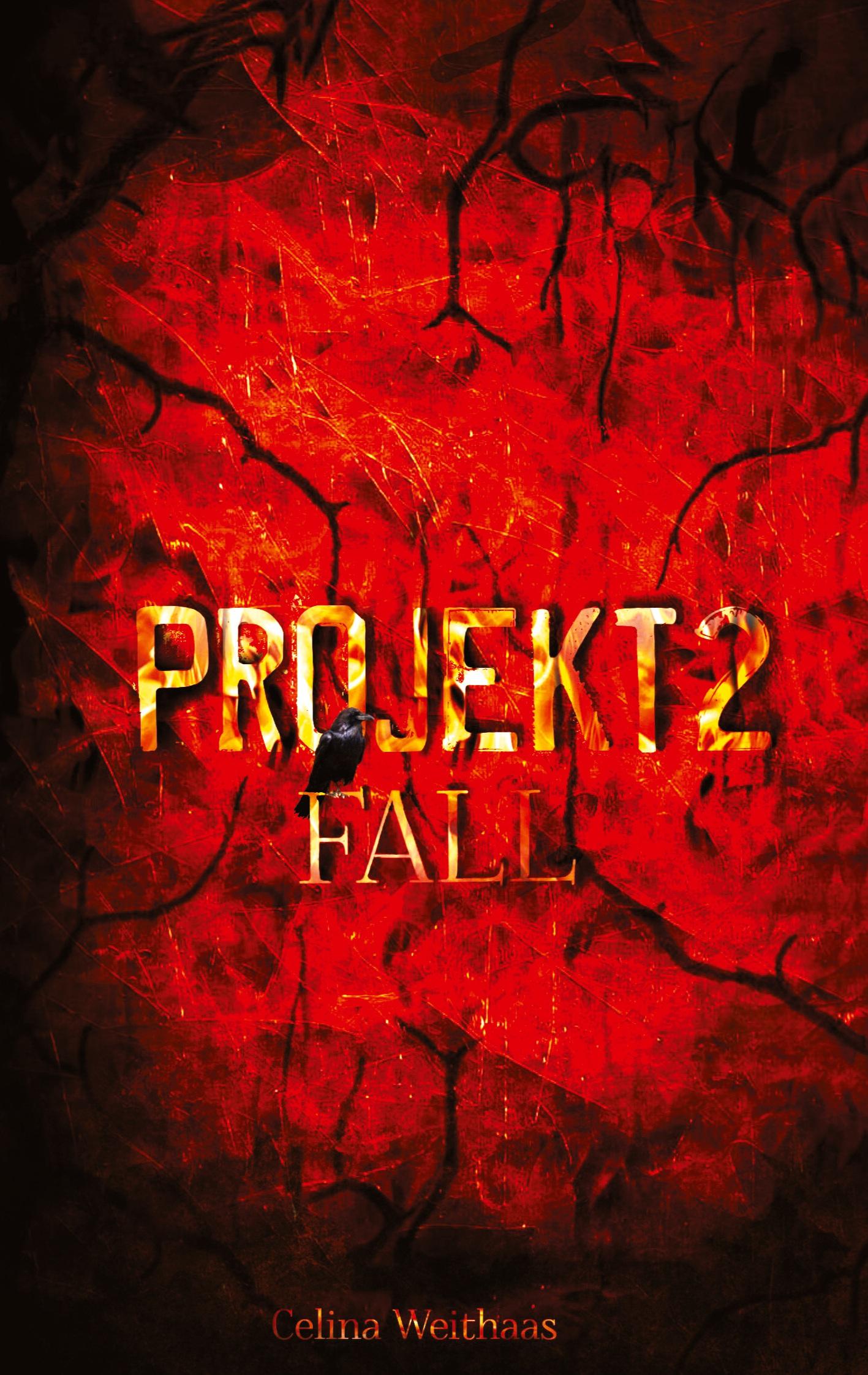 Fall - Projekt  II