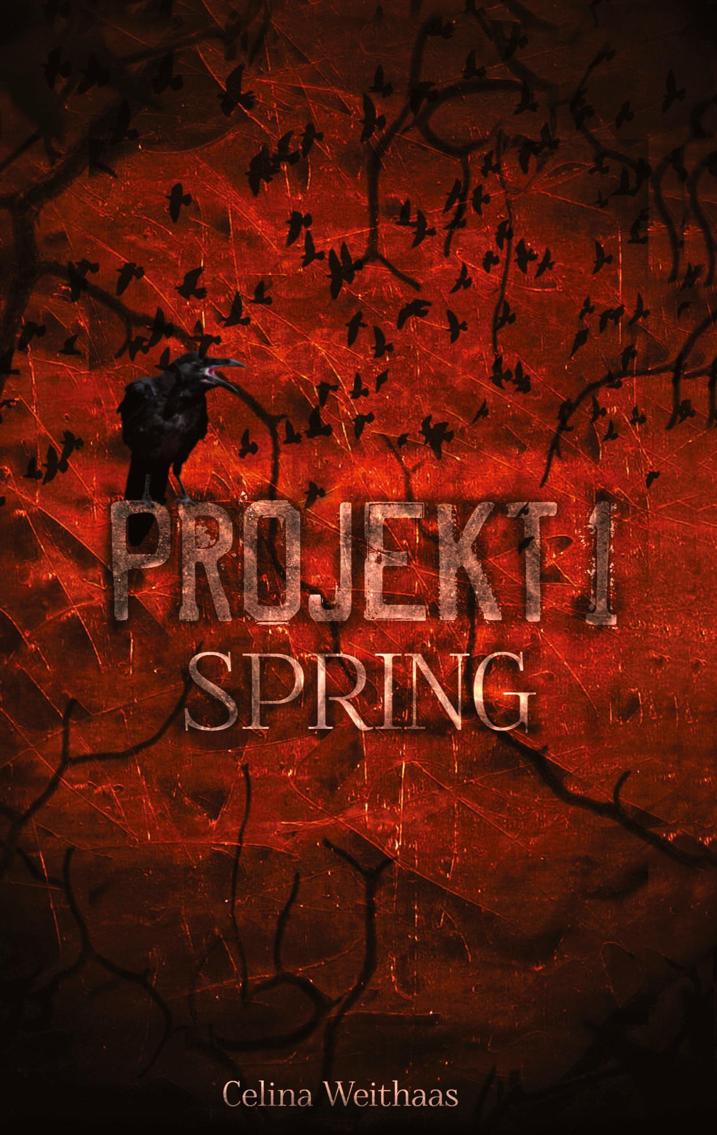 Spring - Projekt I