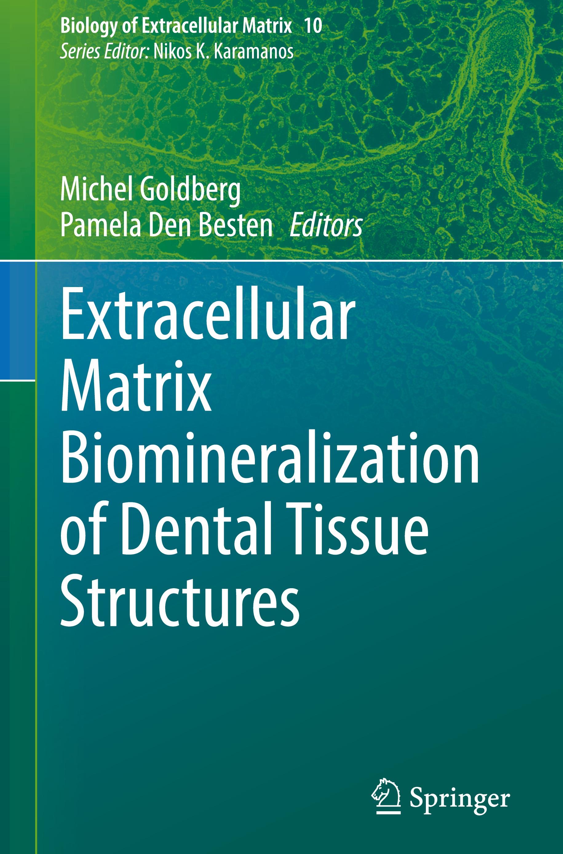 Extracellular Matrix Biomineralization of Dental Tissue Structures