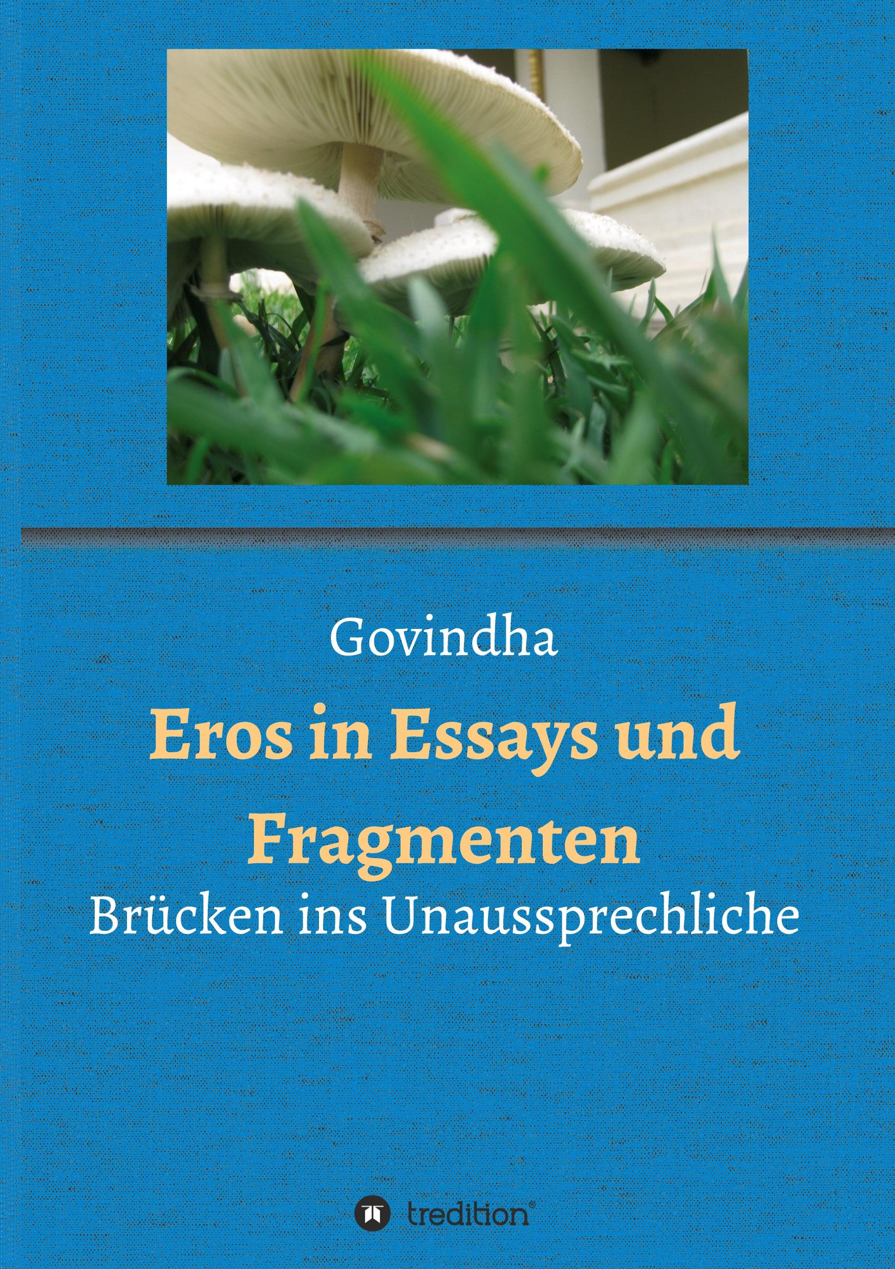 Eros in Essays und Fragmenten