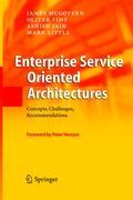 Enterprise Service Oriented Architectures