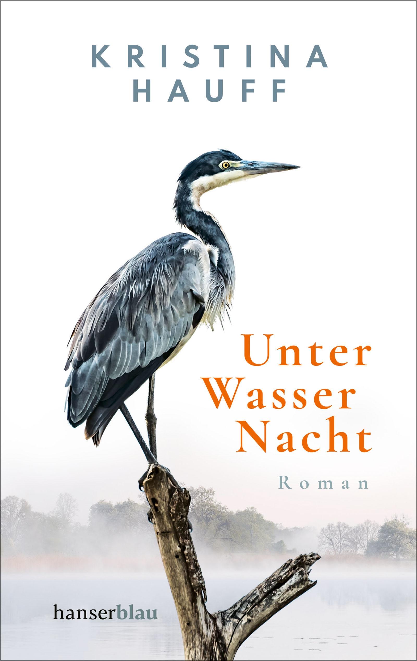 Unter Wasser Nacht