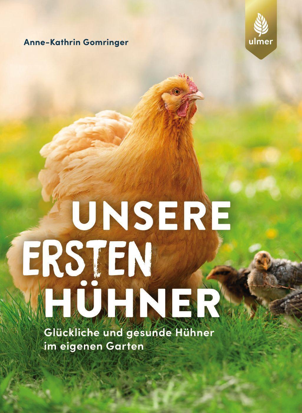 Unsere ersten Hühner