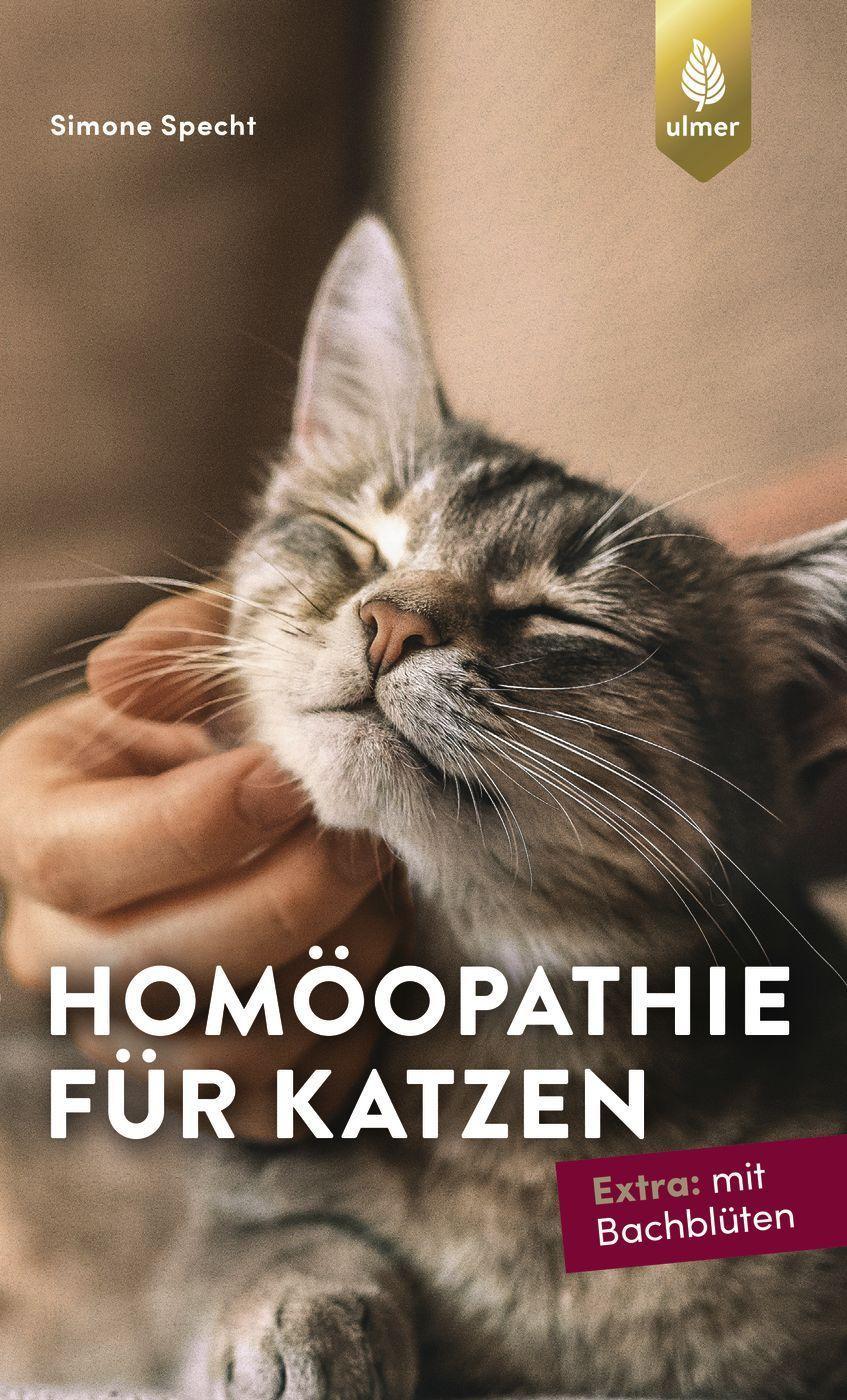 Homöopathie für Katzen