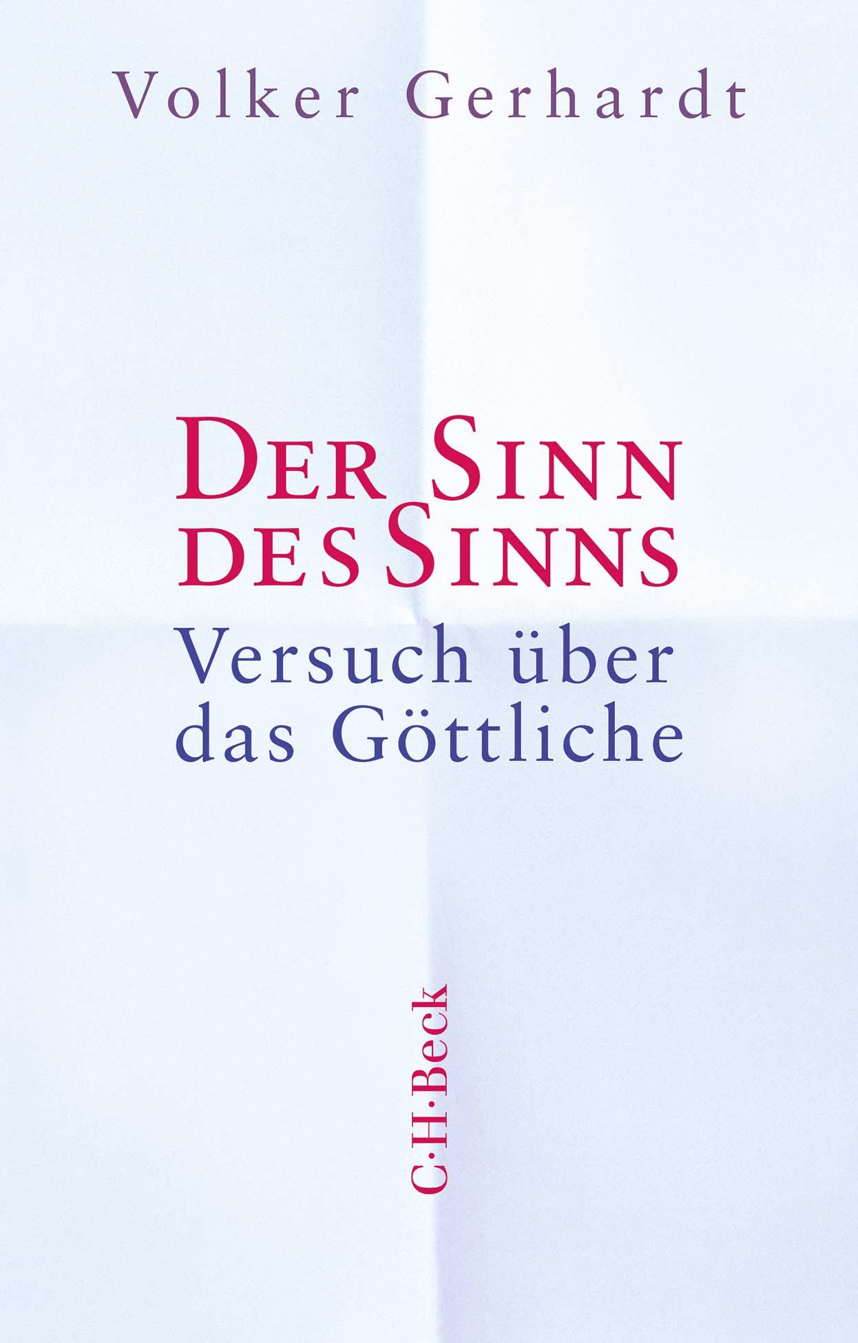 Der Sinn des Sinns