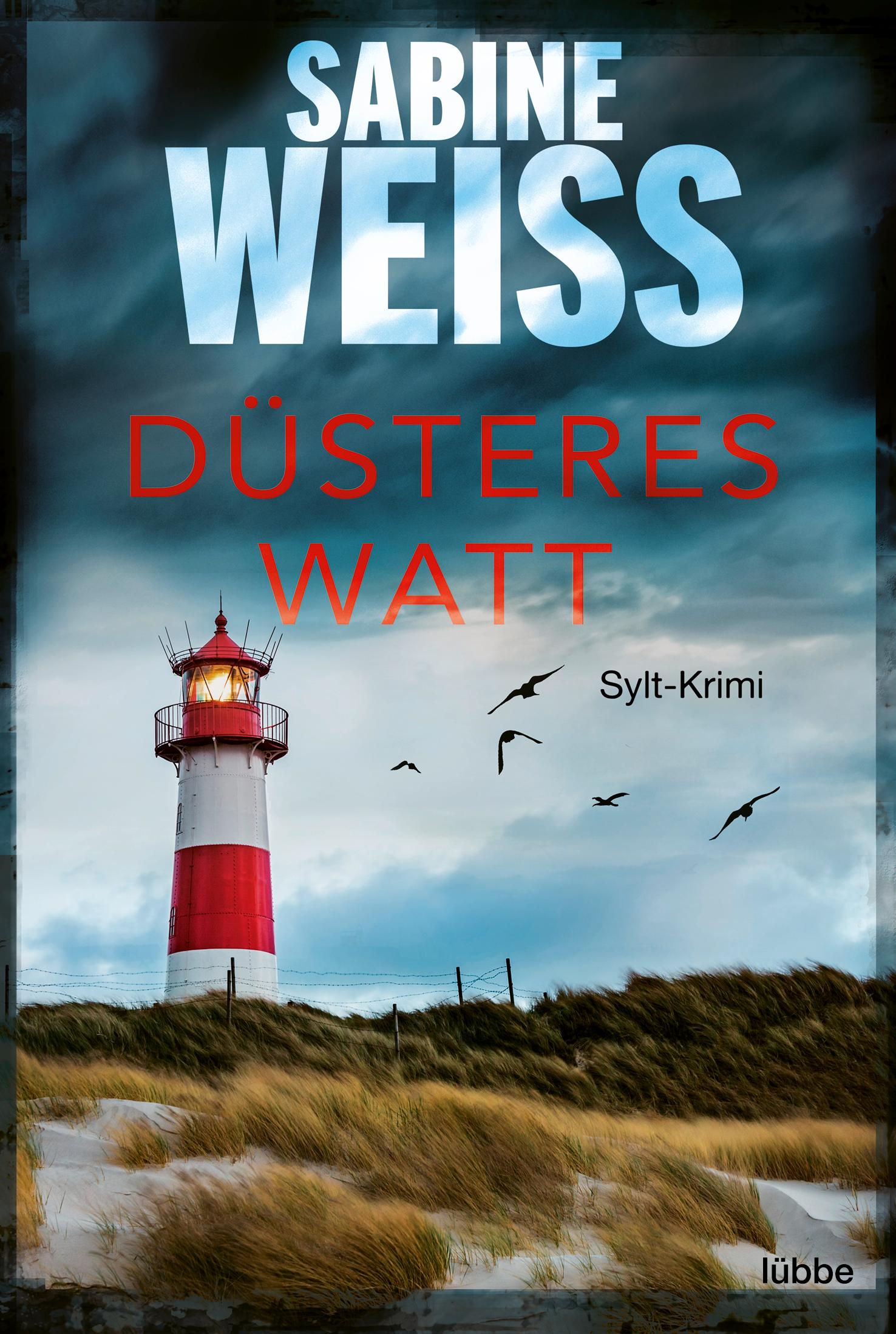 Düsteres Watt