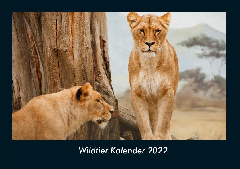 Wildtier Kalender 2022 Fotokalender DIN A4