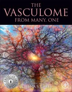 The Vasculome