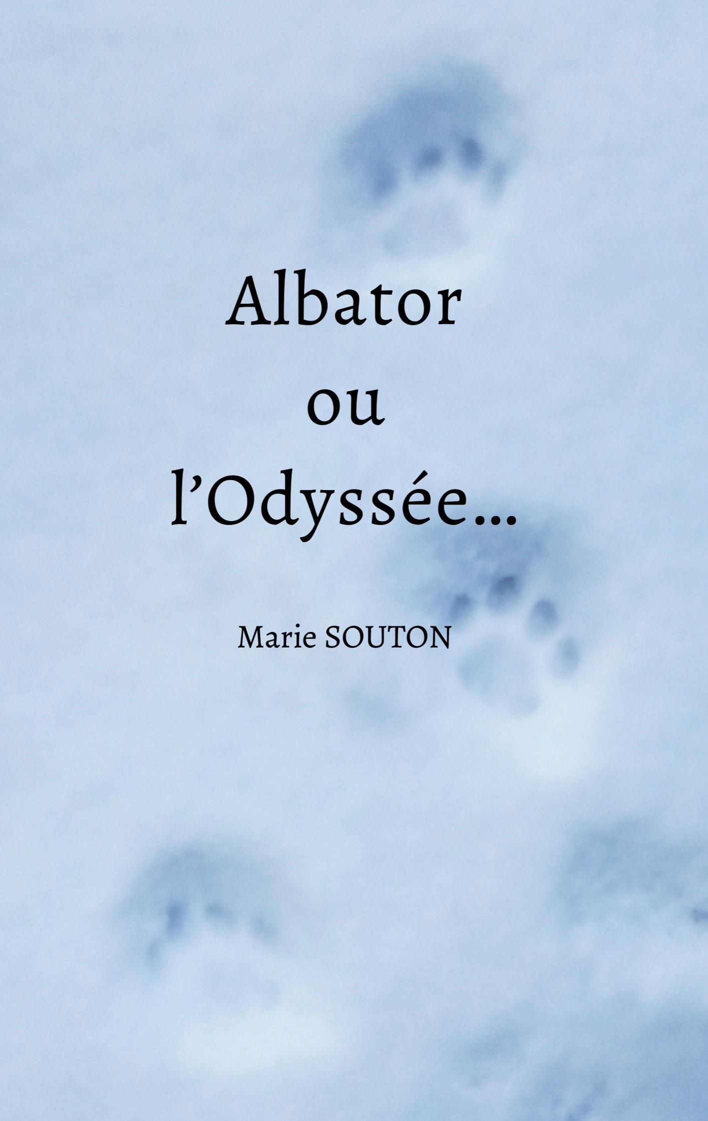 Albator ou l'Odyssée...