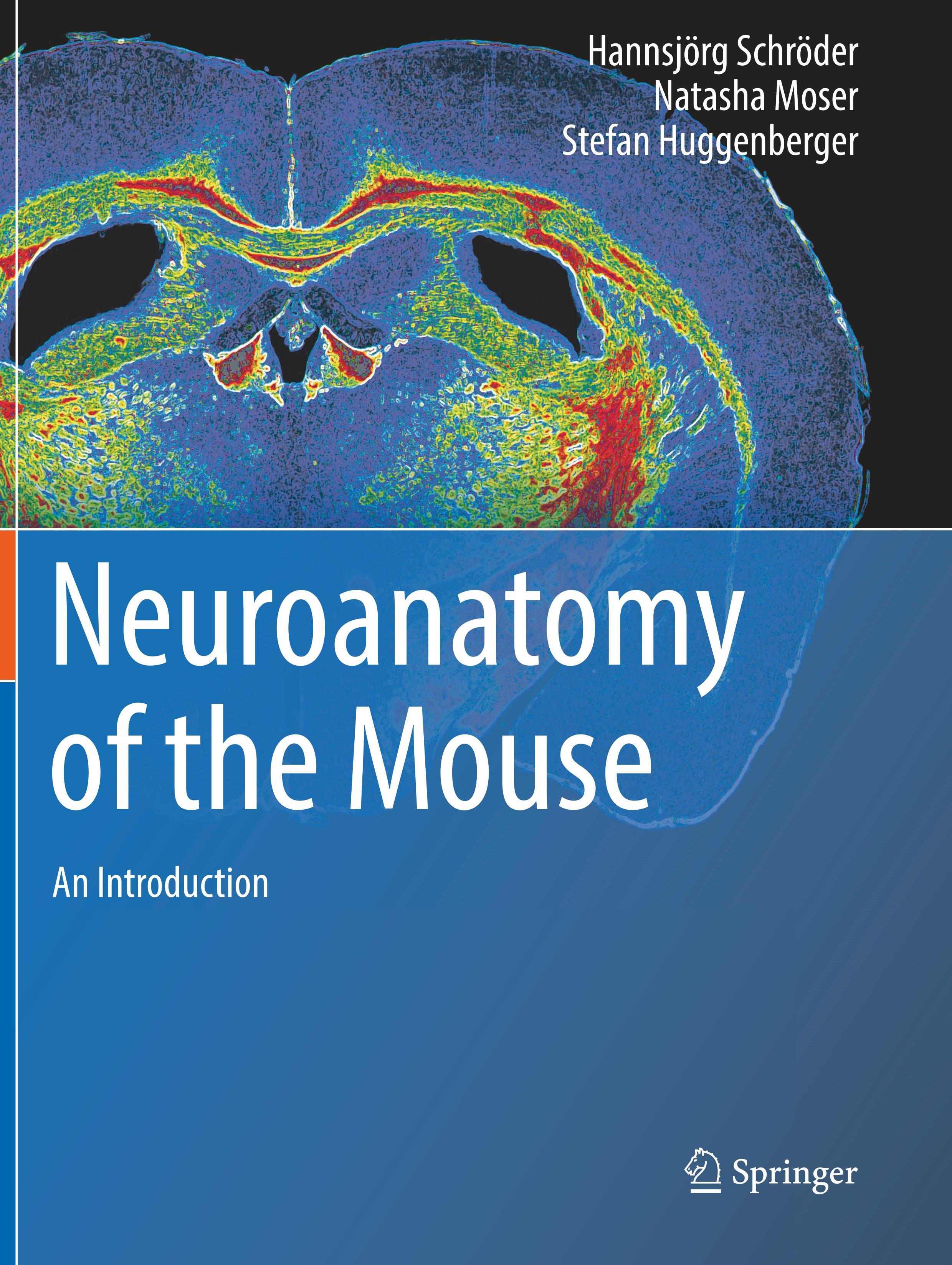 Neuroanatomy of the Mouse