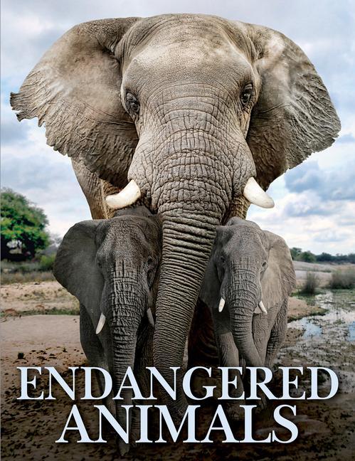 Endangered Animals