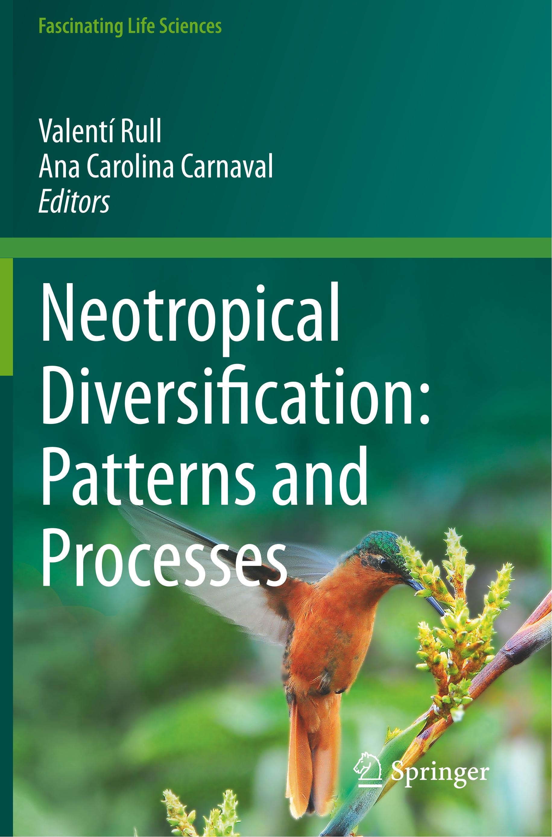 Neotropical Diversification: Patterns and Processes