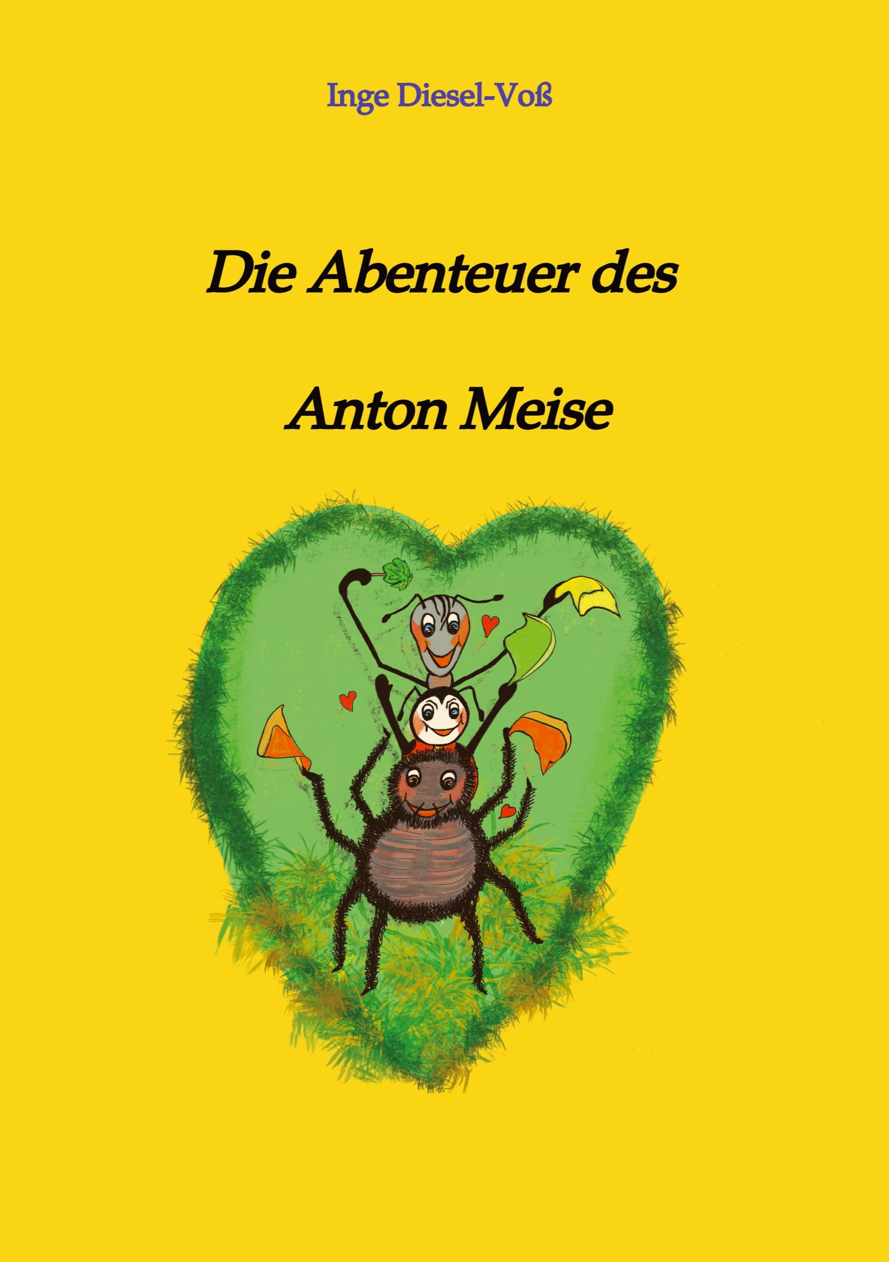 Die Abenteuer des Anton Meise