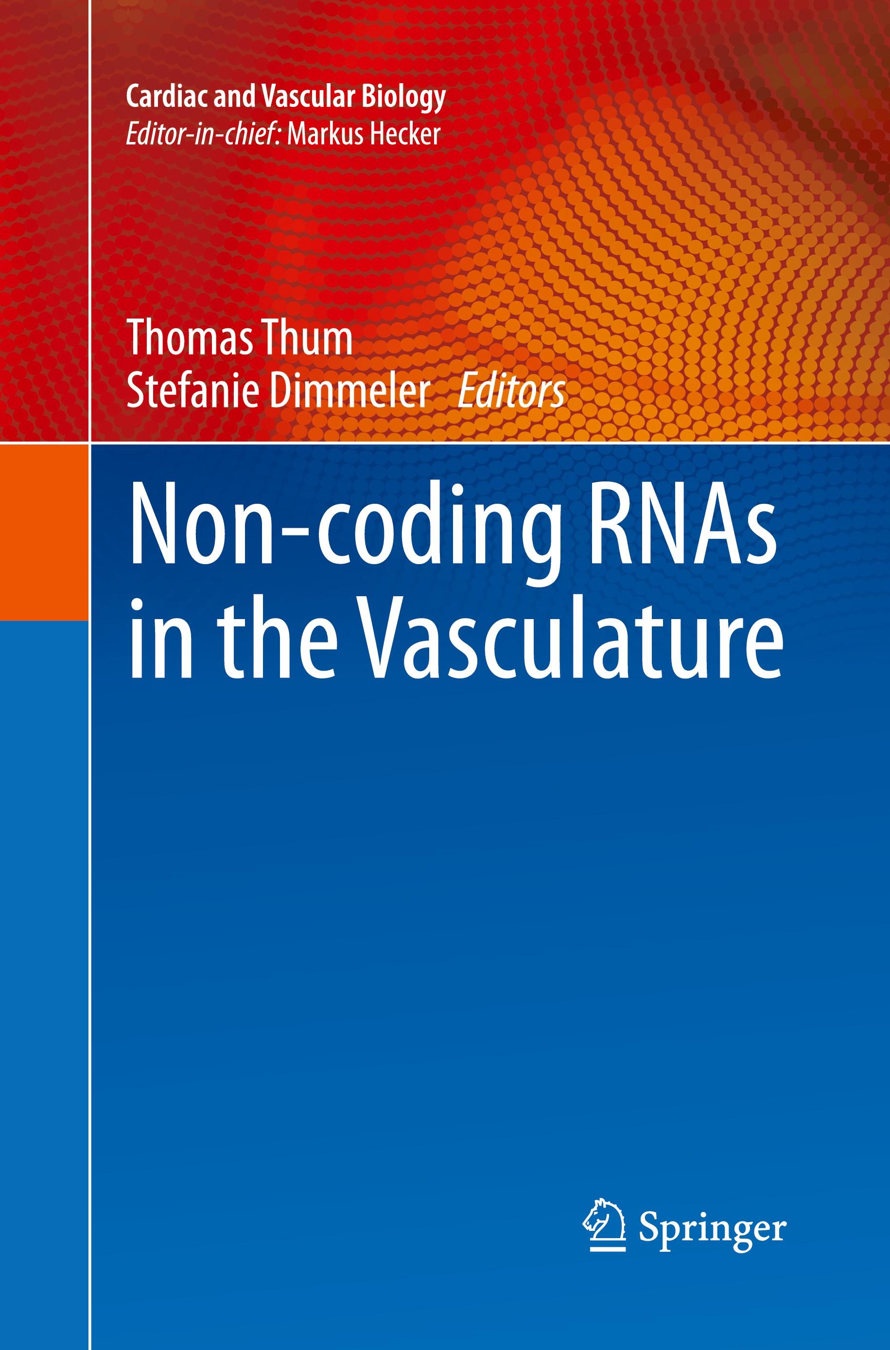 Non-coding RNAs in the Vasculature