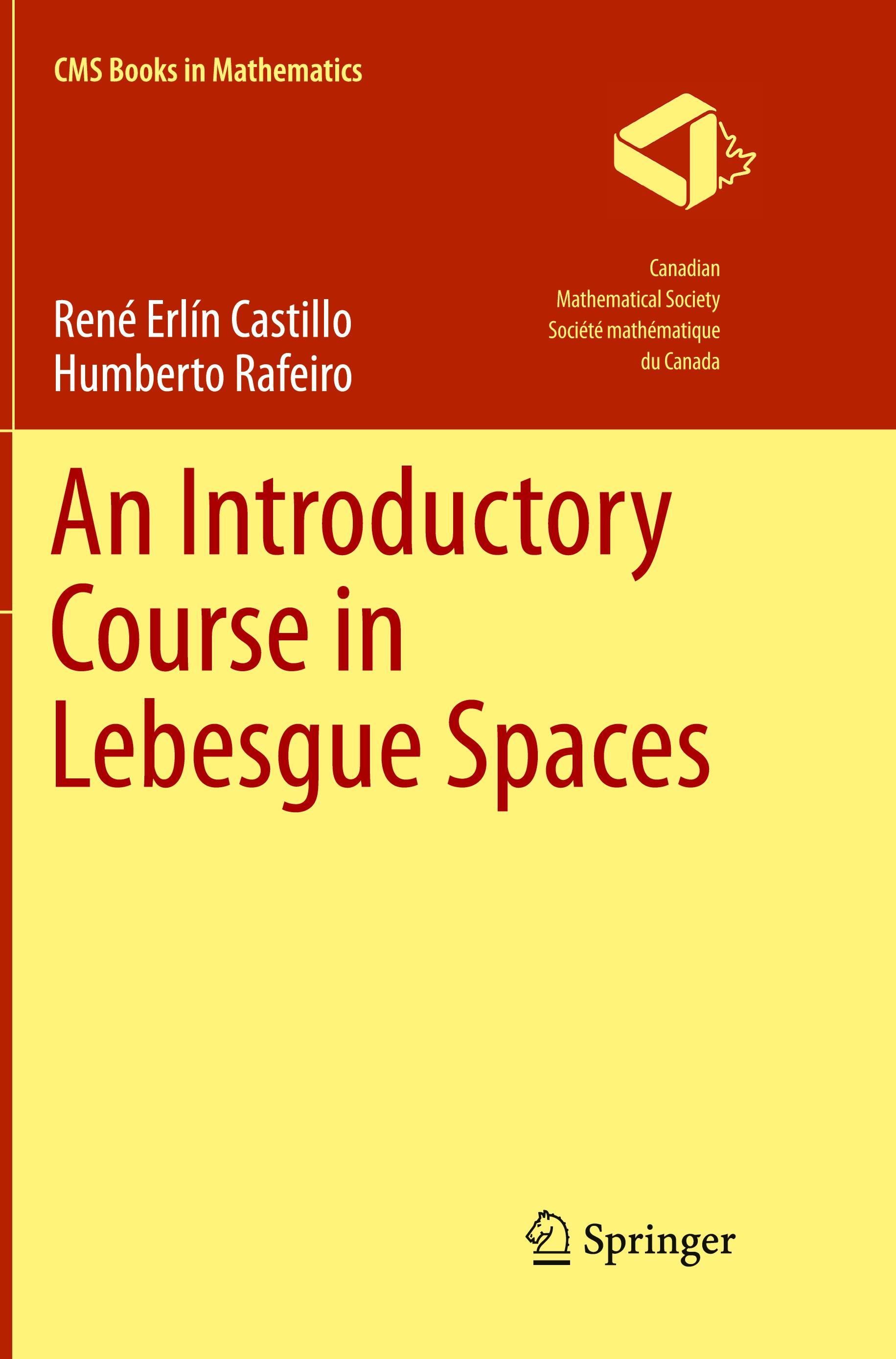 An Introductory Course in Lebesgue Spaces