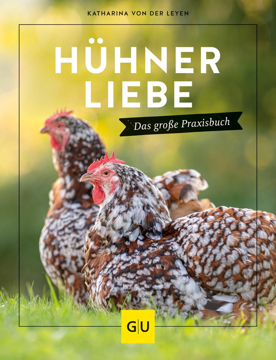 Hühnerliebe