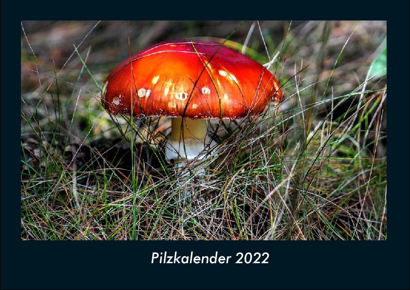 Pilzkalender 2022 Fotokalender DIN A4