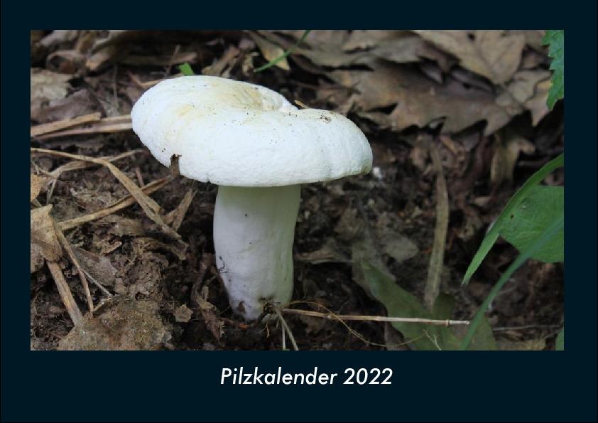 Pilzkalender 2022 Fotokalender DIN A4