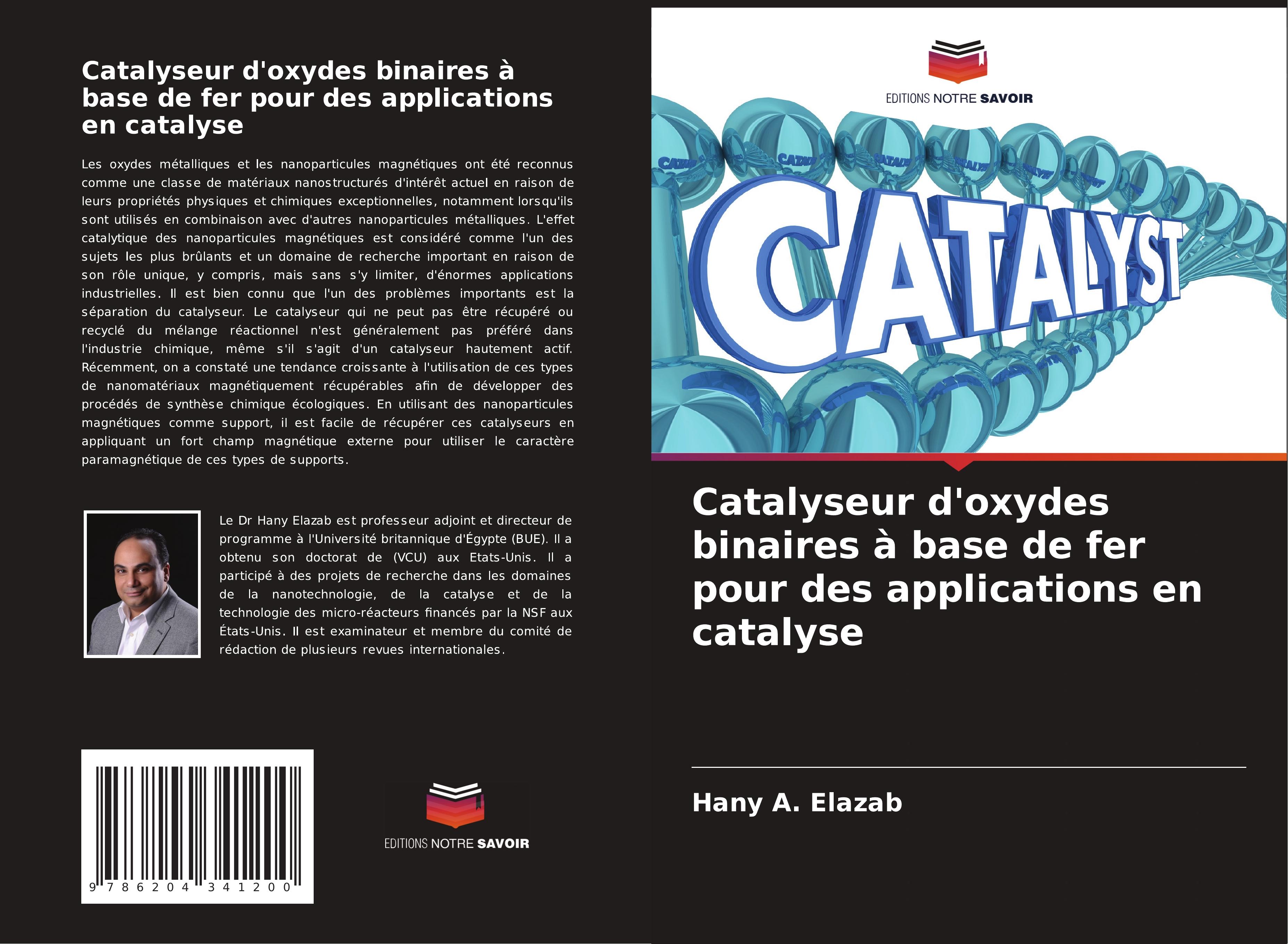 Catalyseur d'oxydes binaires à base de fer pour des applications en catalyse