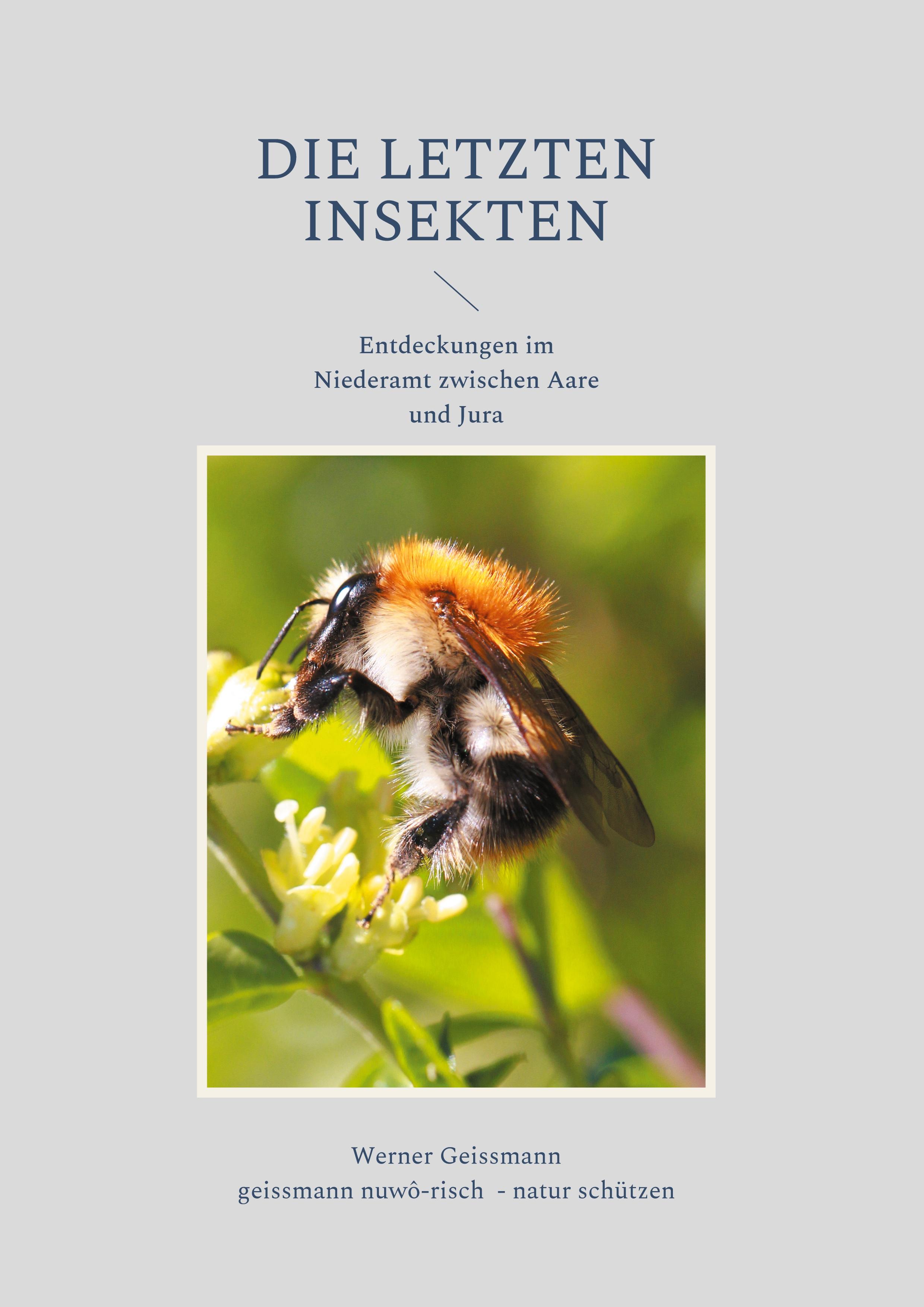 Die letzten Insekten