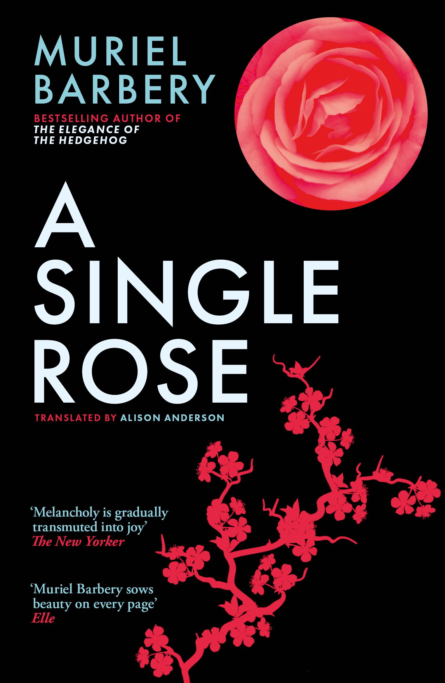 A Single Rose