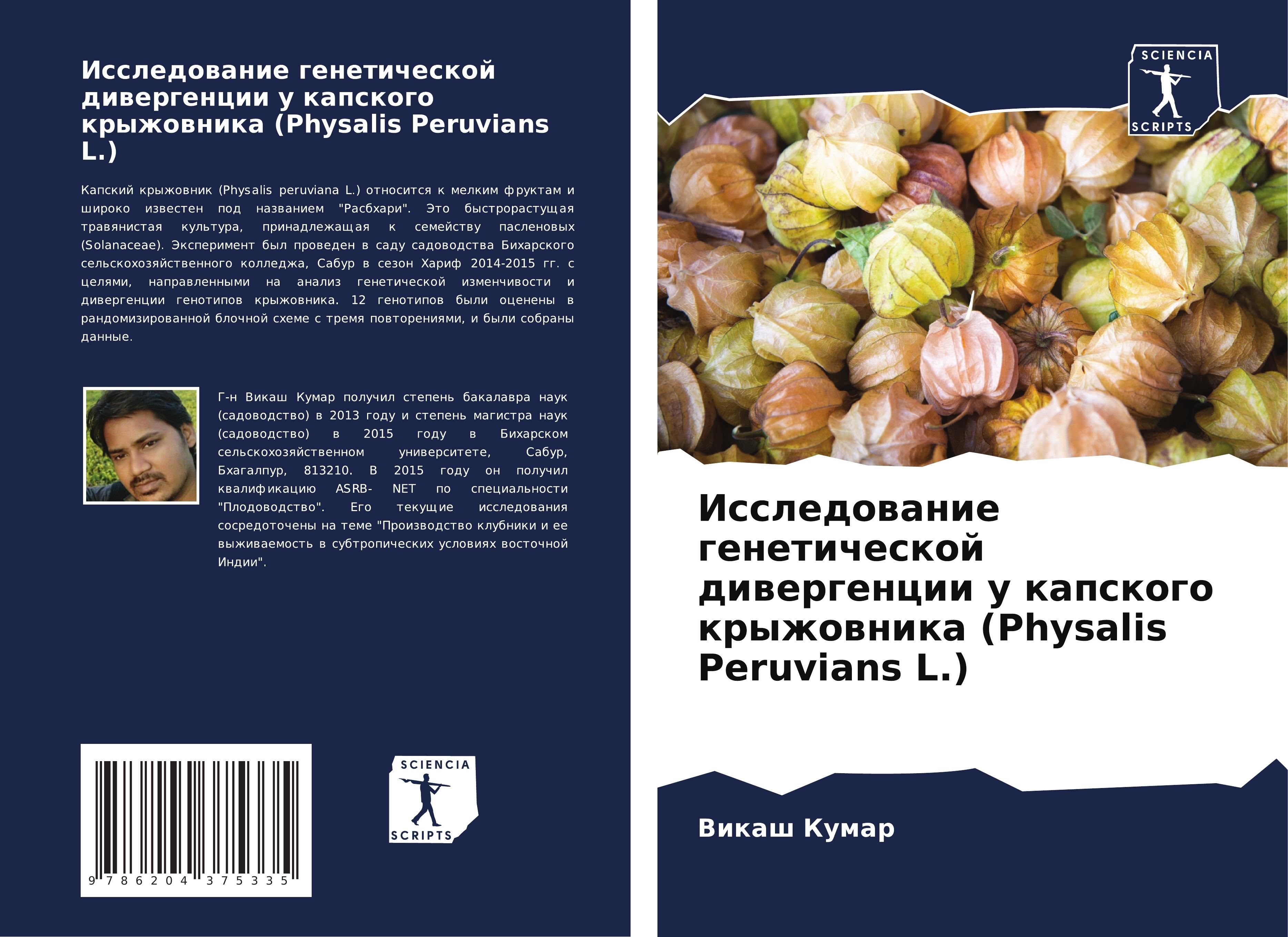 Issledowanie geneticheskoj diwergencii u kapskogo kryzhownika (Physalis Peruvians L.)