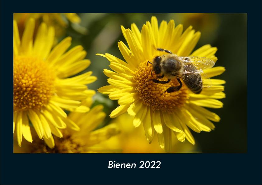 Bienen 2022 Fotokalender DIN A4