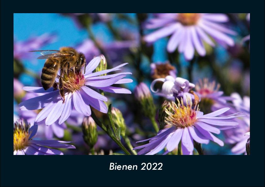 Bienen 2022 Fotokalender DIN A4