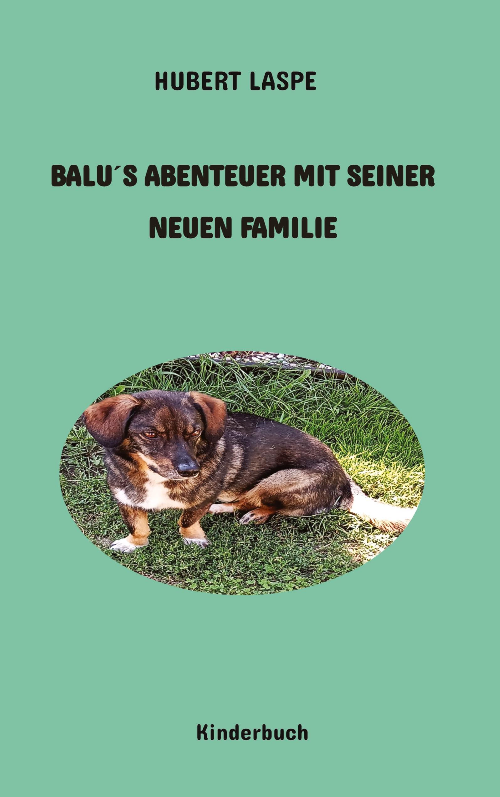 Balu´s Abenteuer mit seiner neuen Familie