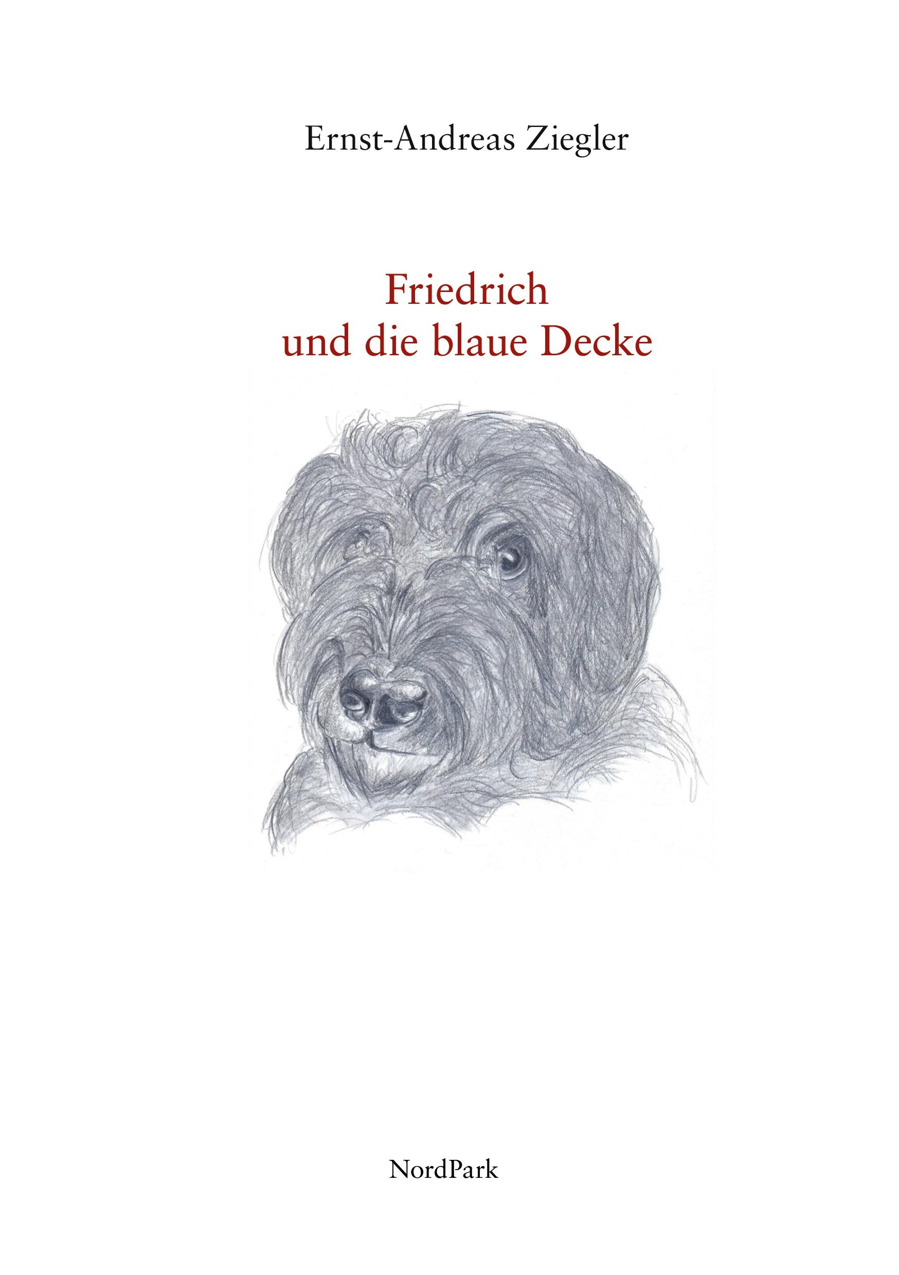 Friedrich und die blaue Decke