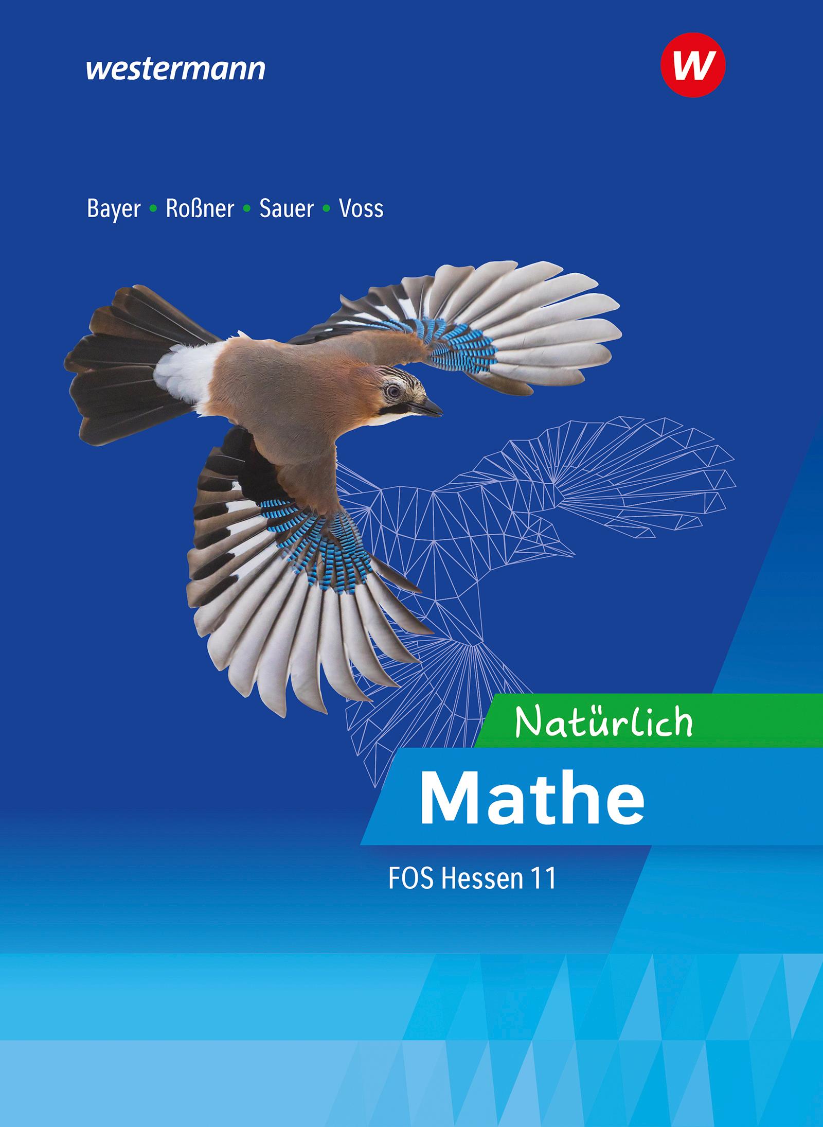 Mathematik für die Fachoberschulen in Hessen. Ausbildungsabschnitt I: Schulbuch 11