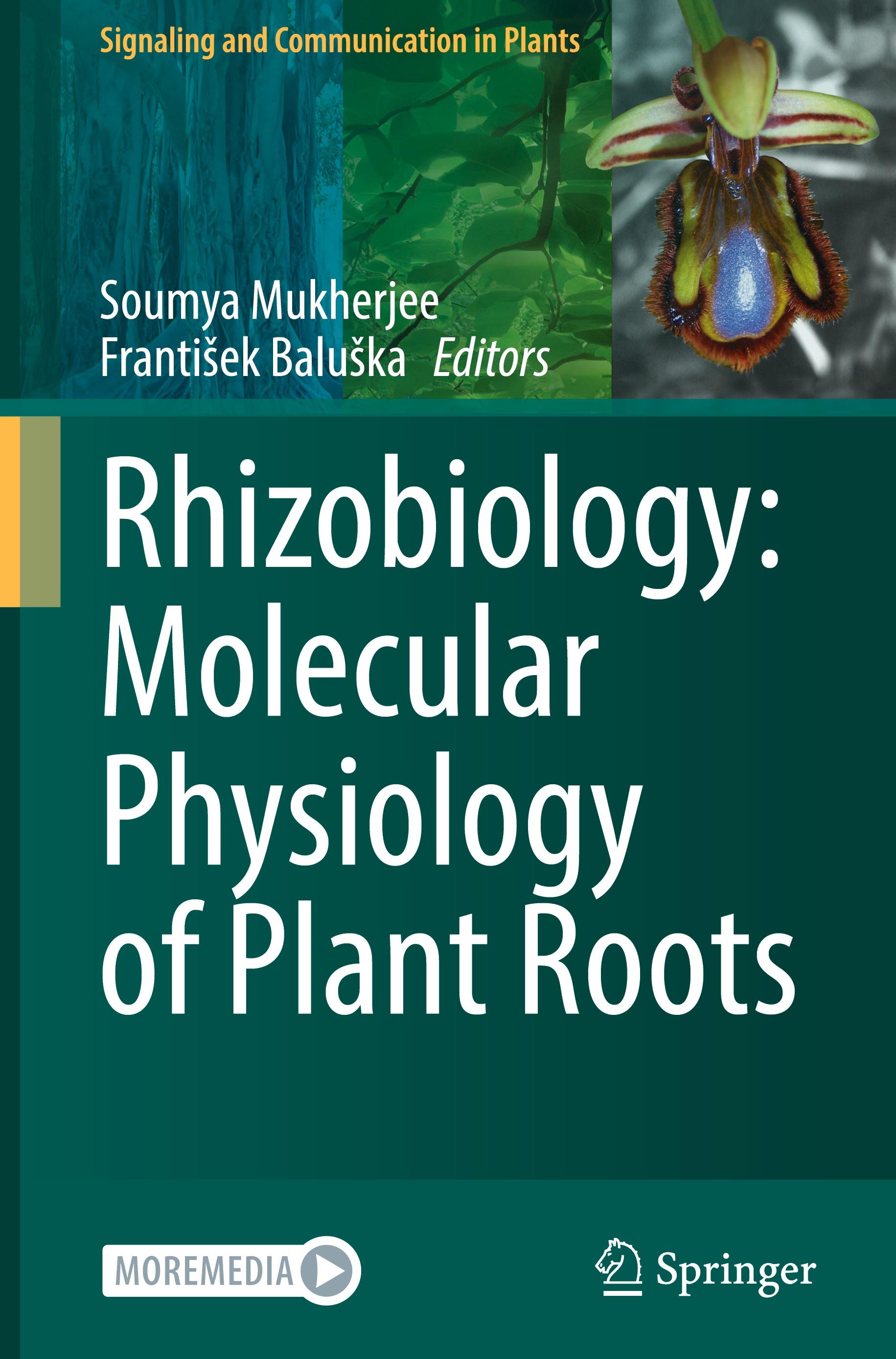 Rhizobiology: Molecular Physiology of Plant Roots