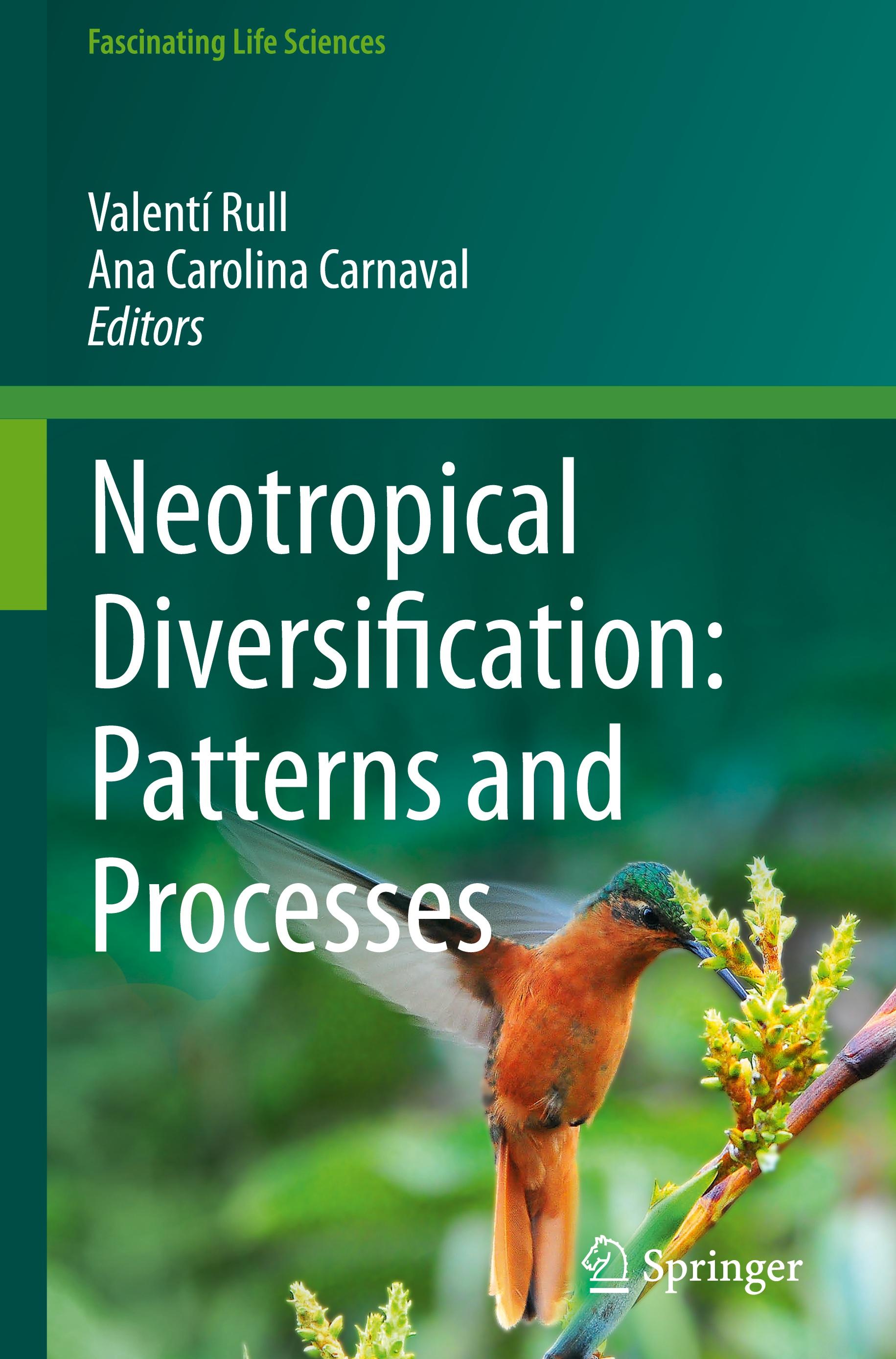 Neotropical Diversification: Patterns and Processes