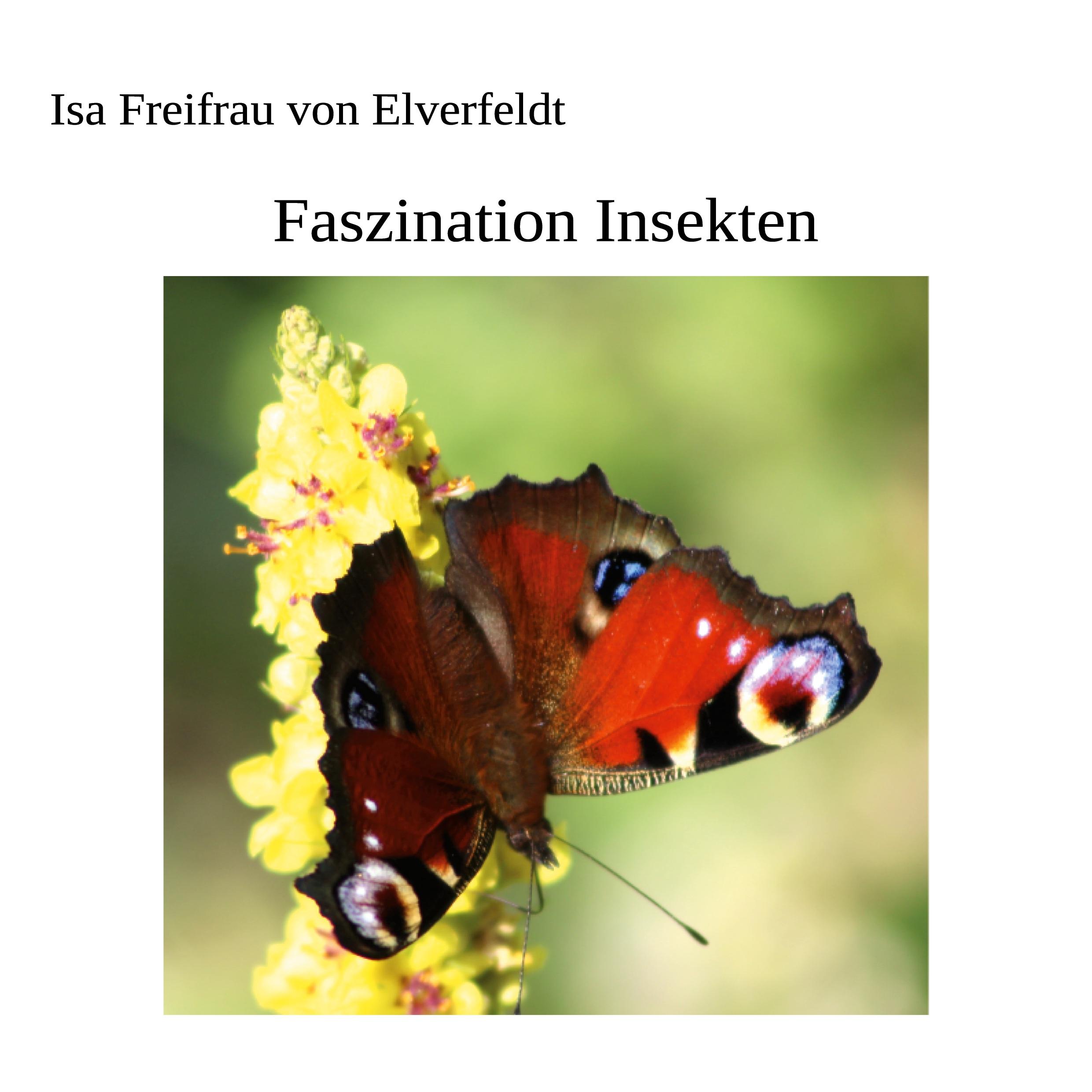 Faszination Insekten