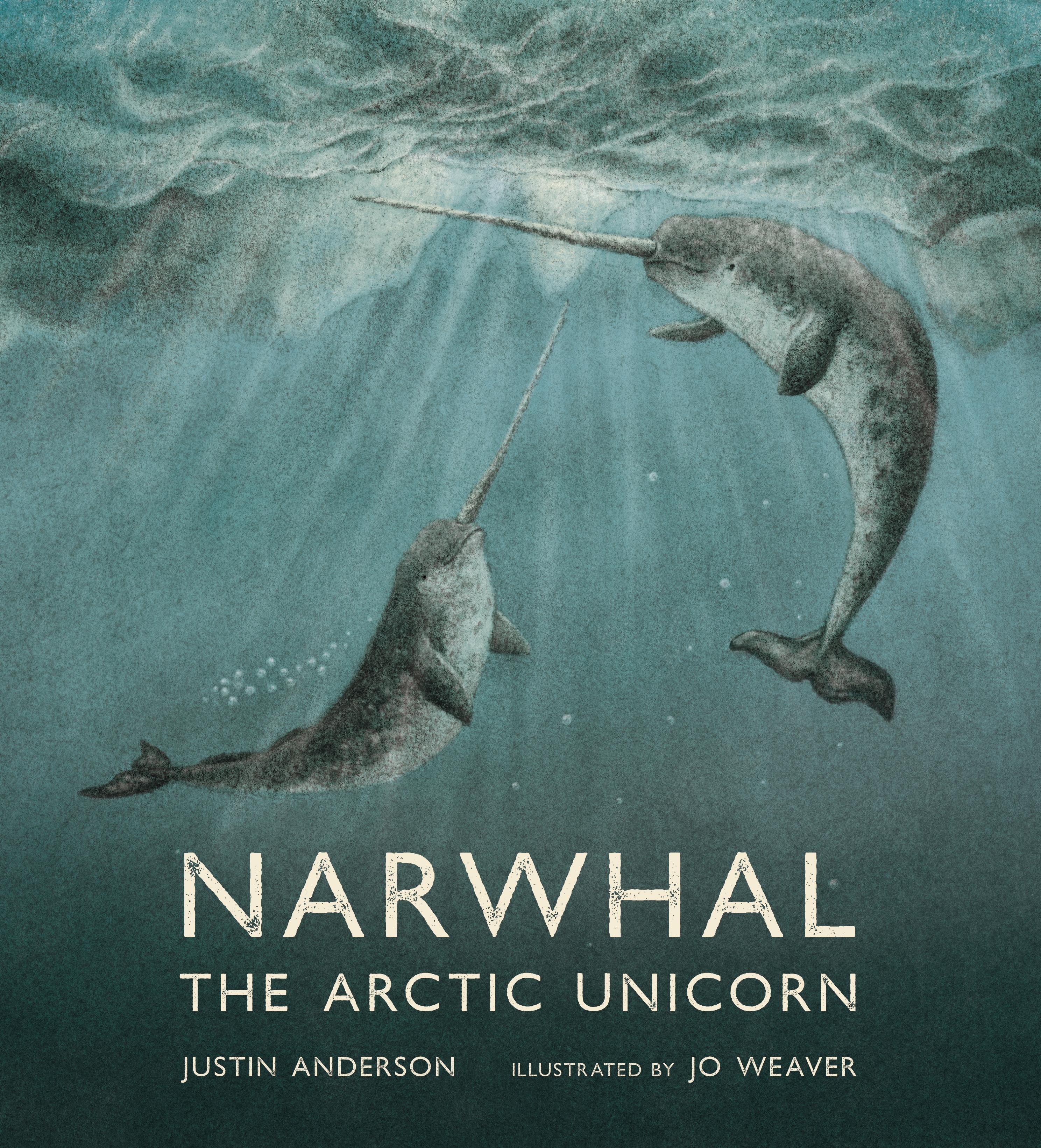 Narwhal: The Arctic Unicorn