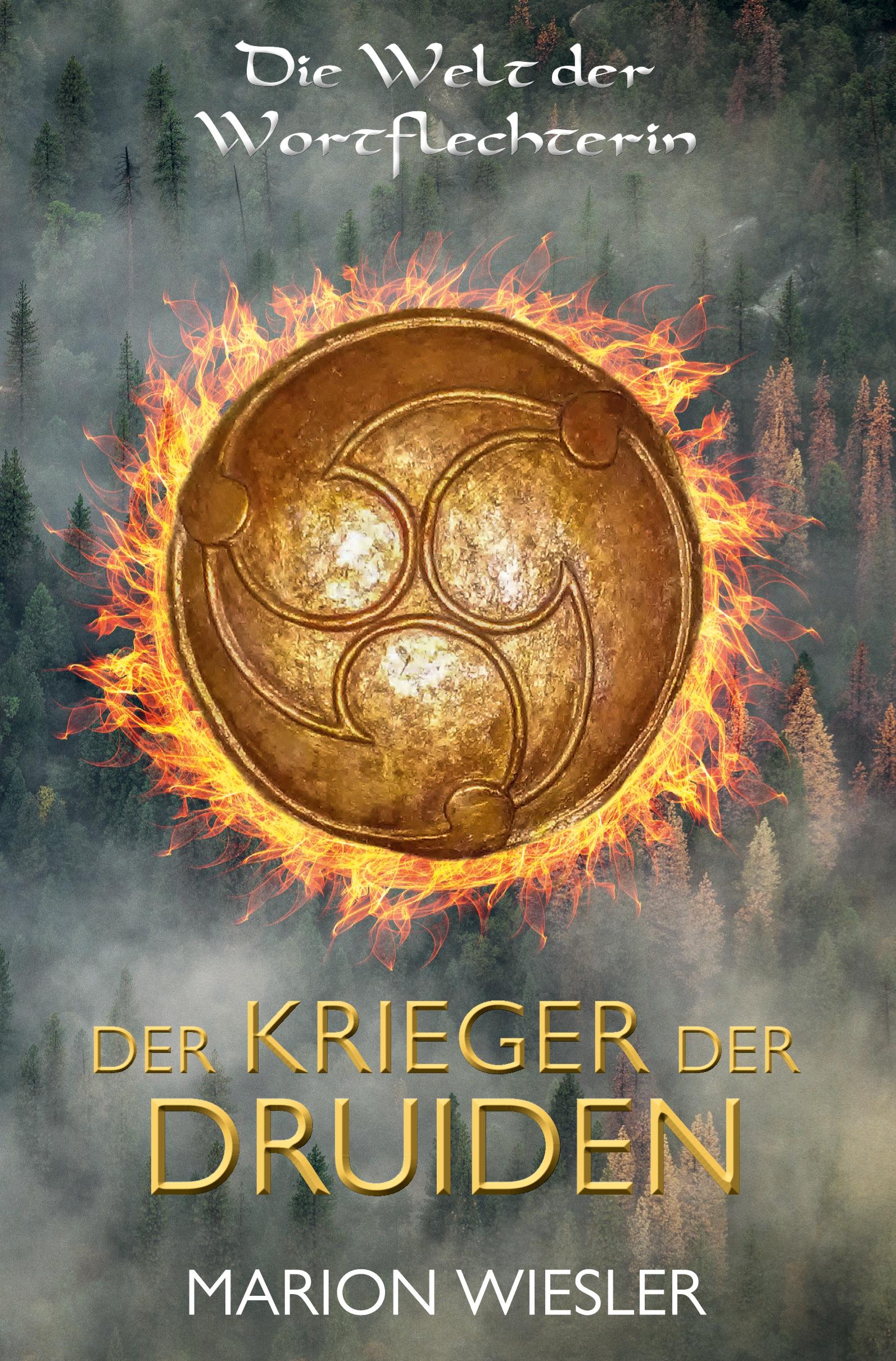 Der Krieger der Druiden