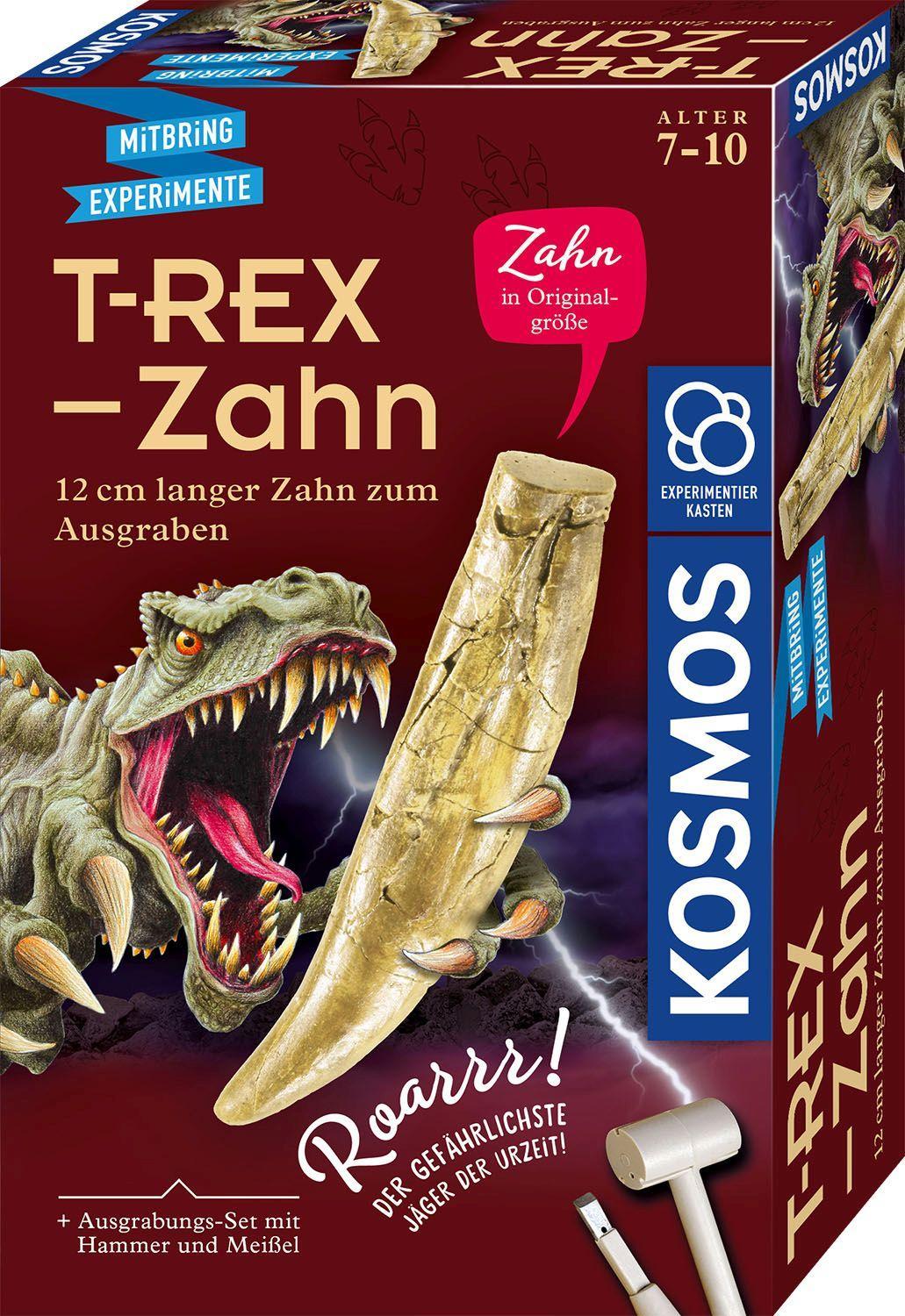 T-rex - Zahn