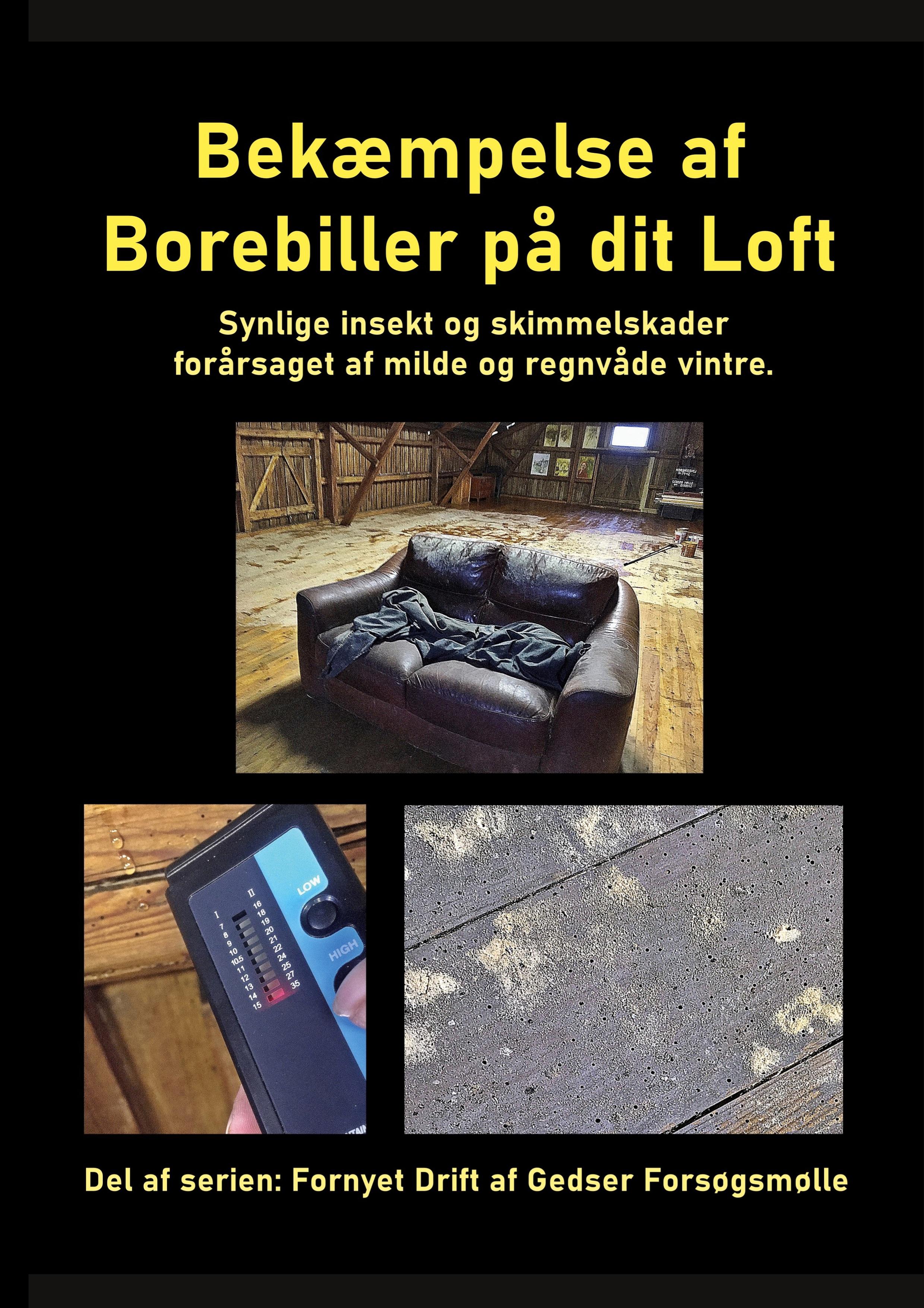 Bekæmpelse af Borebiller på dit Loft