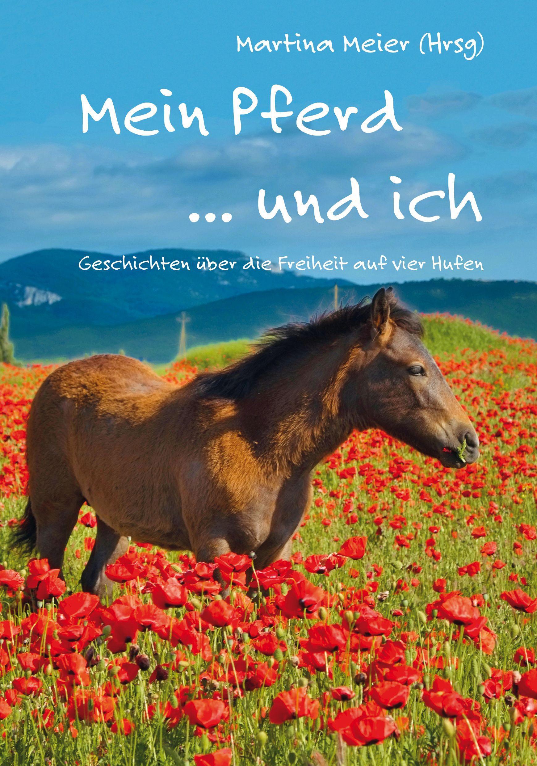 Mein Pferd ... und ich