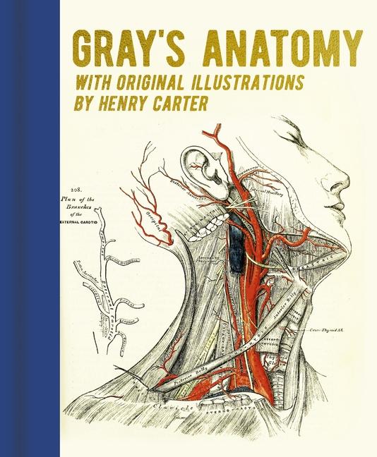 Gray's Anatomy