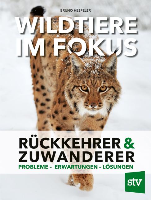 Wildtiere im Fokus