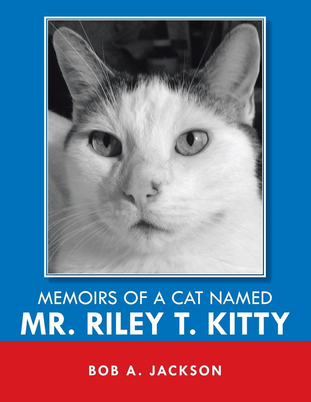 Memoirs of a Cat Named Mr. Riley T. Kitty