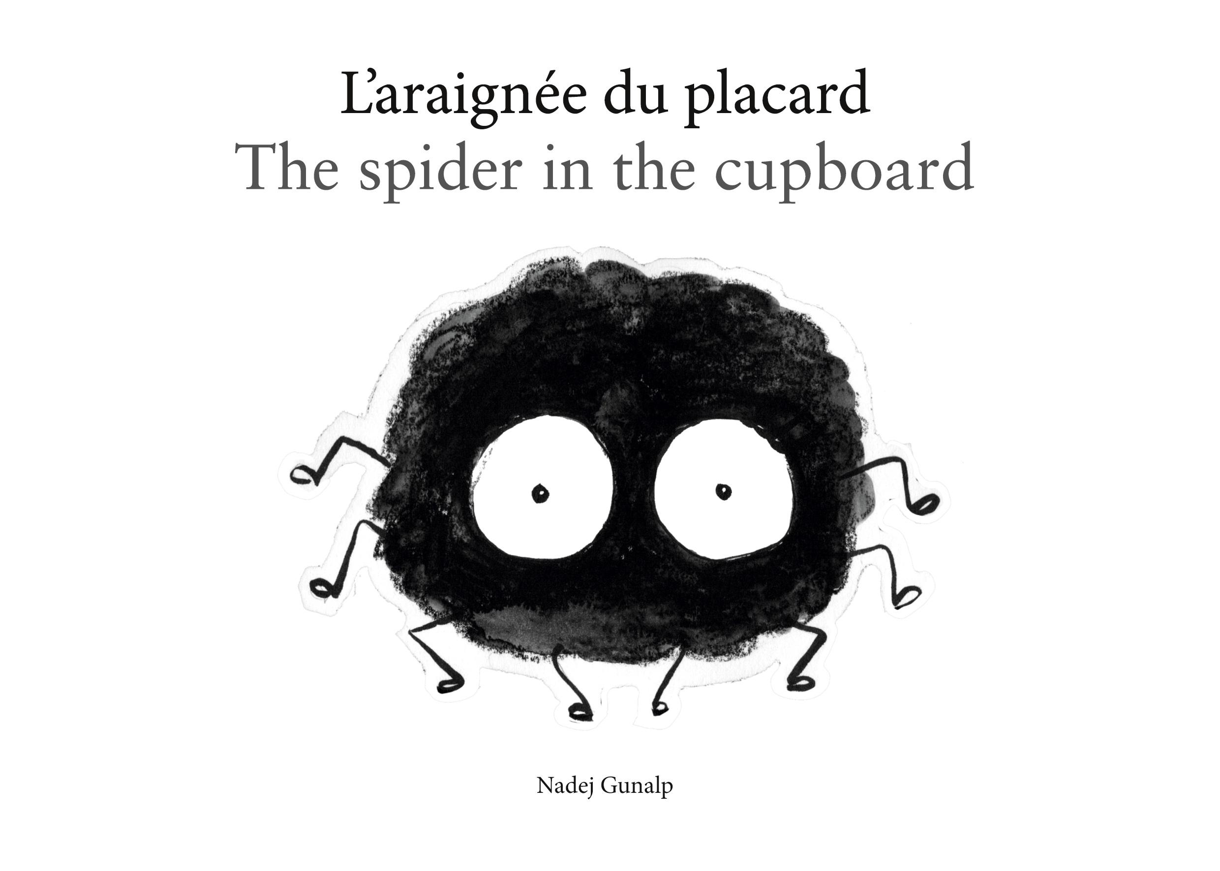 L'araignée du placard