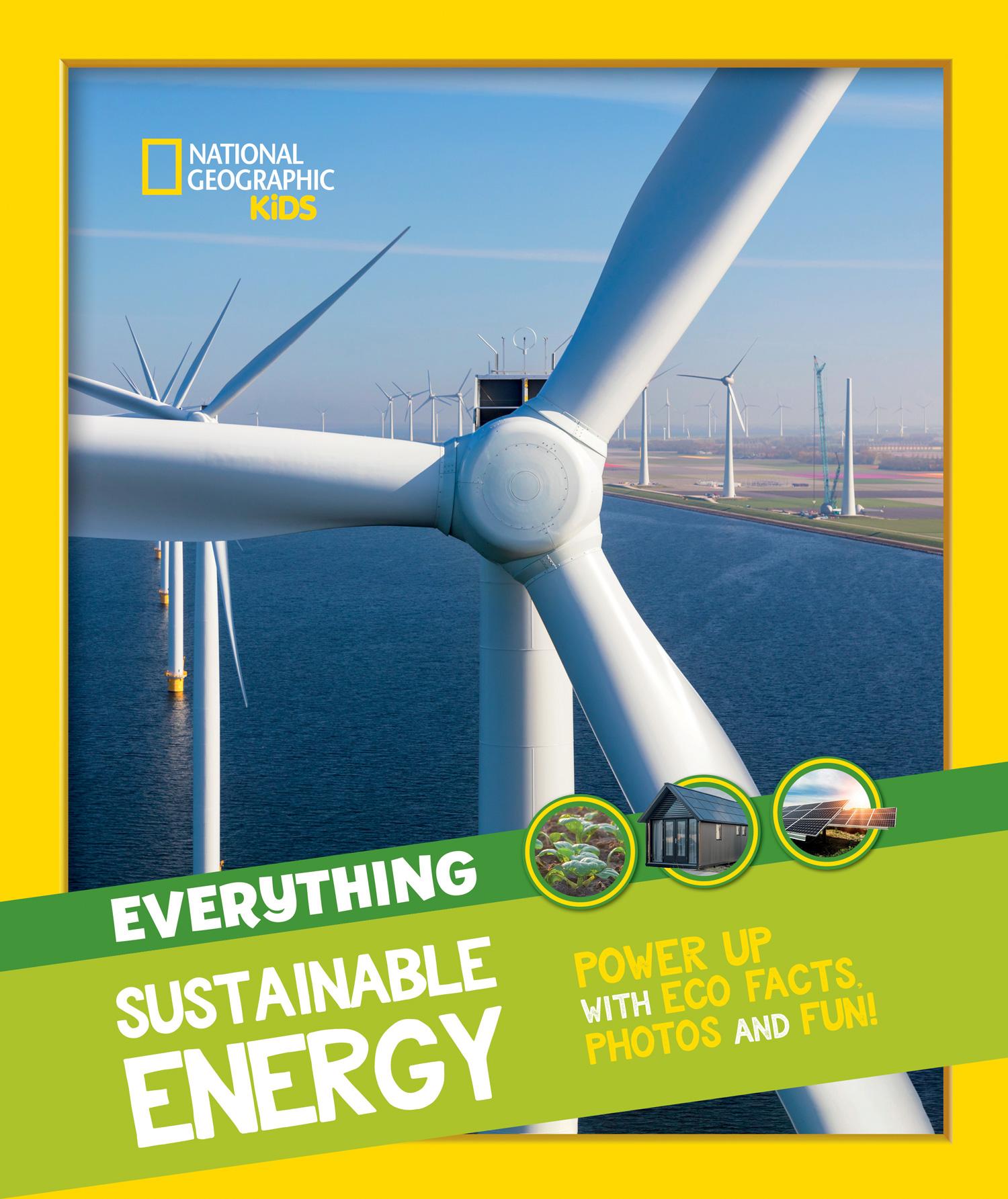 Everything: Sustainable Energy