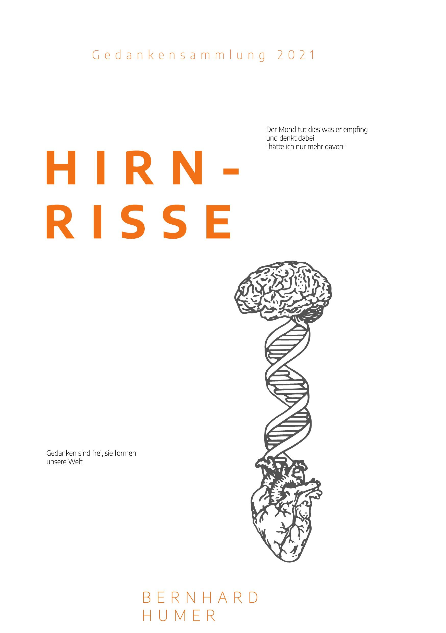 Hirnrisse