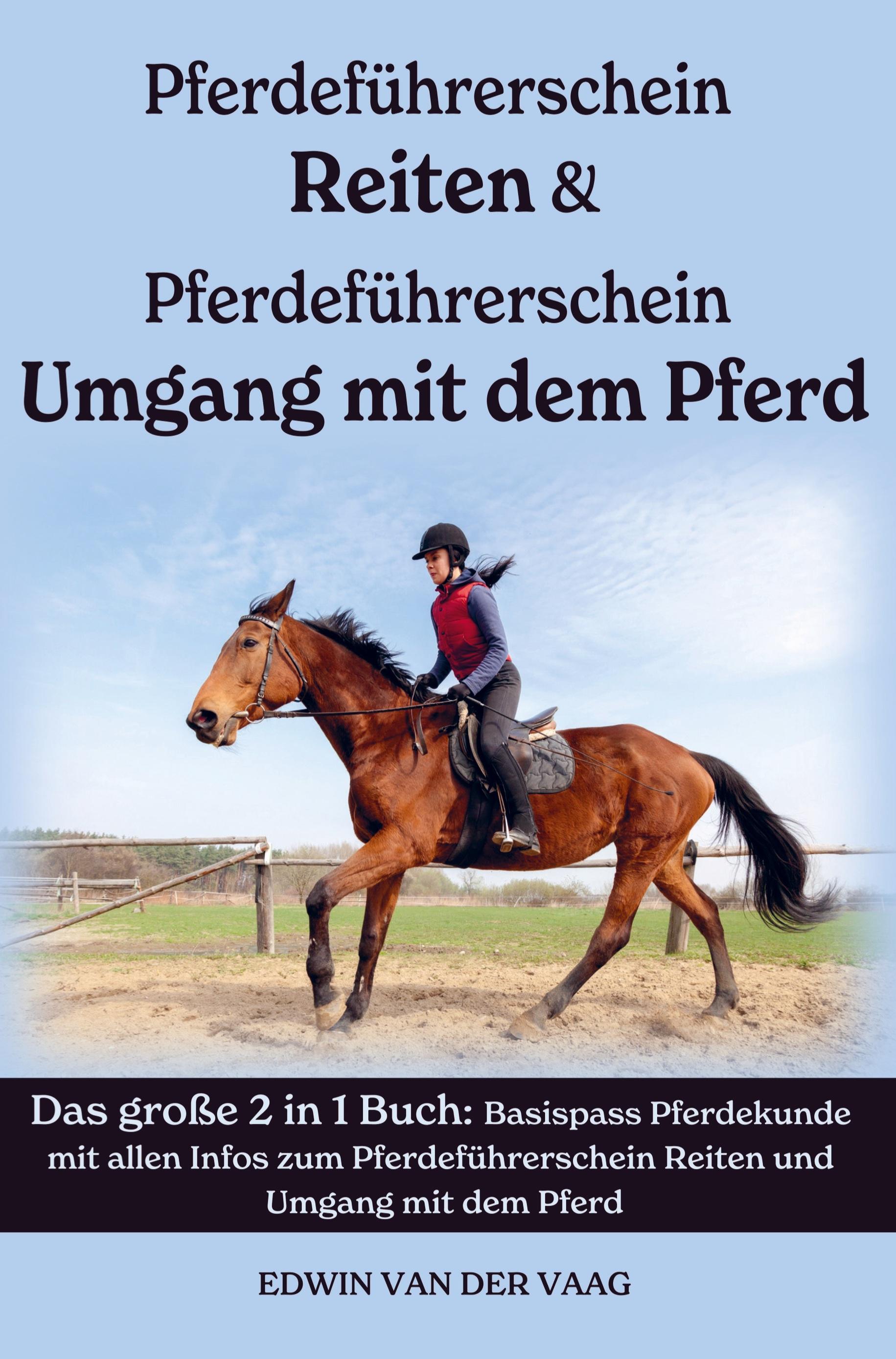 Pferdeführerschein Umgang mit dem Pferd & Reiten