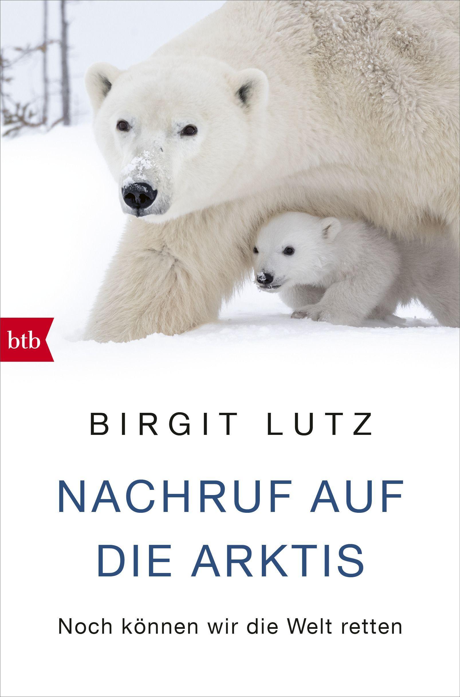 Nachruf auf die Arktis